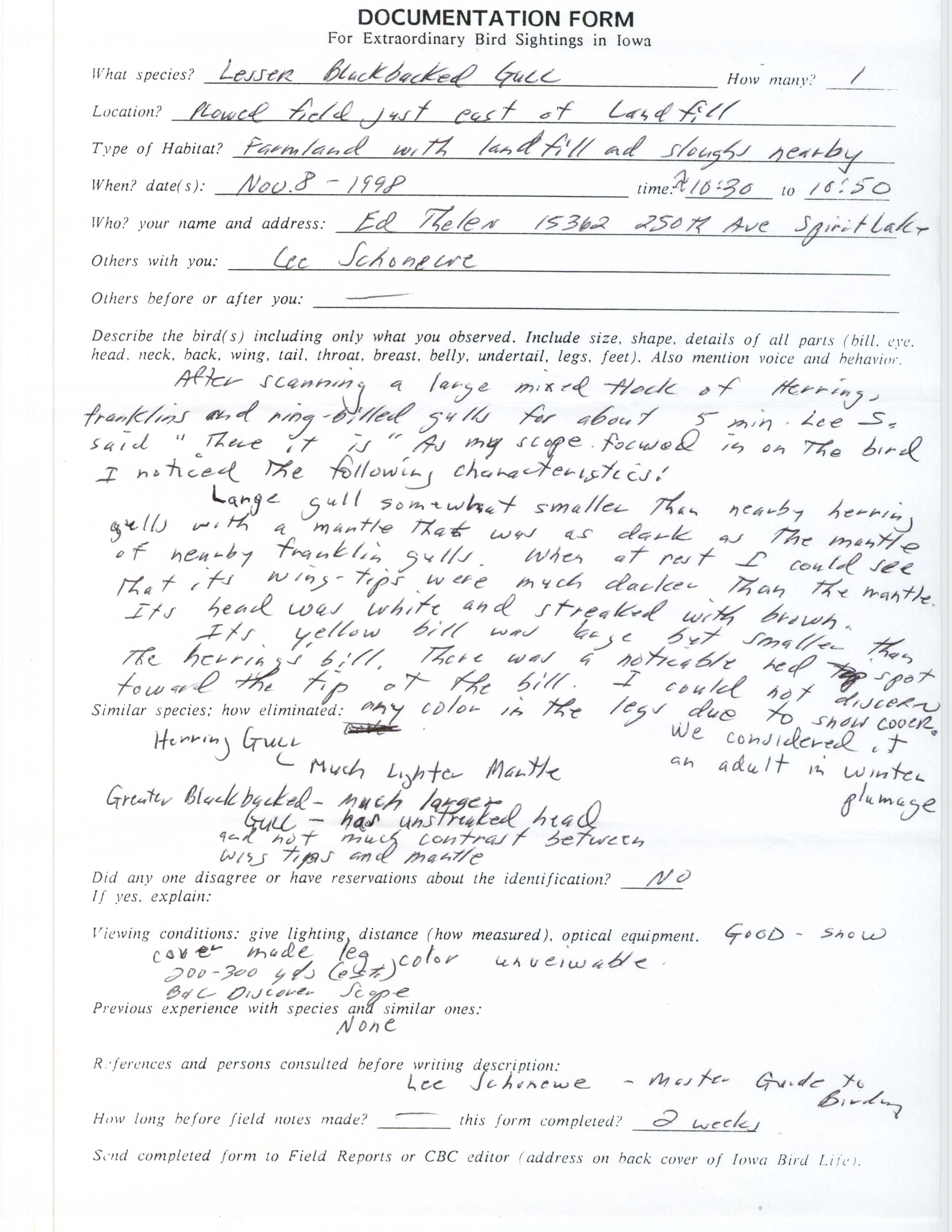 Rare bird documentation form for Lesser Black-backed Gull at Iowa in 1998