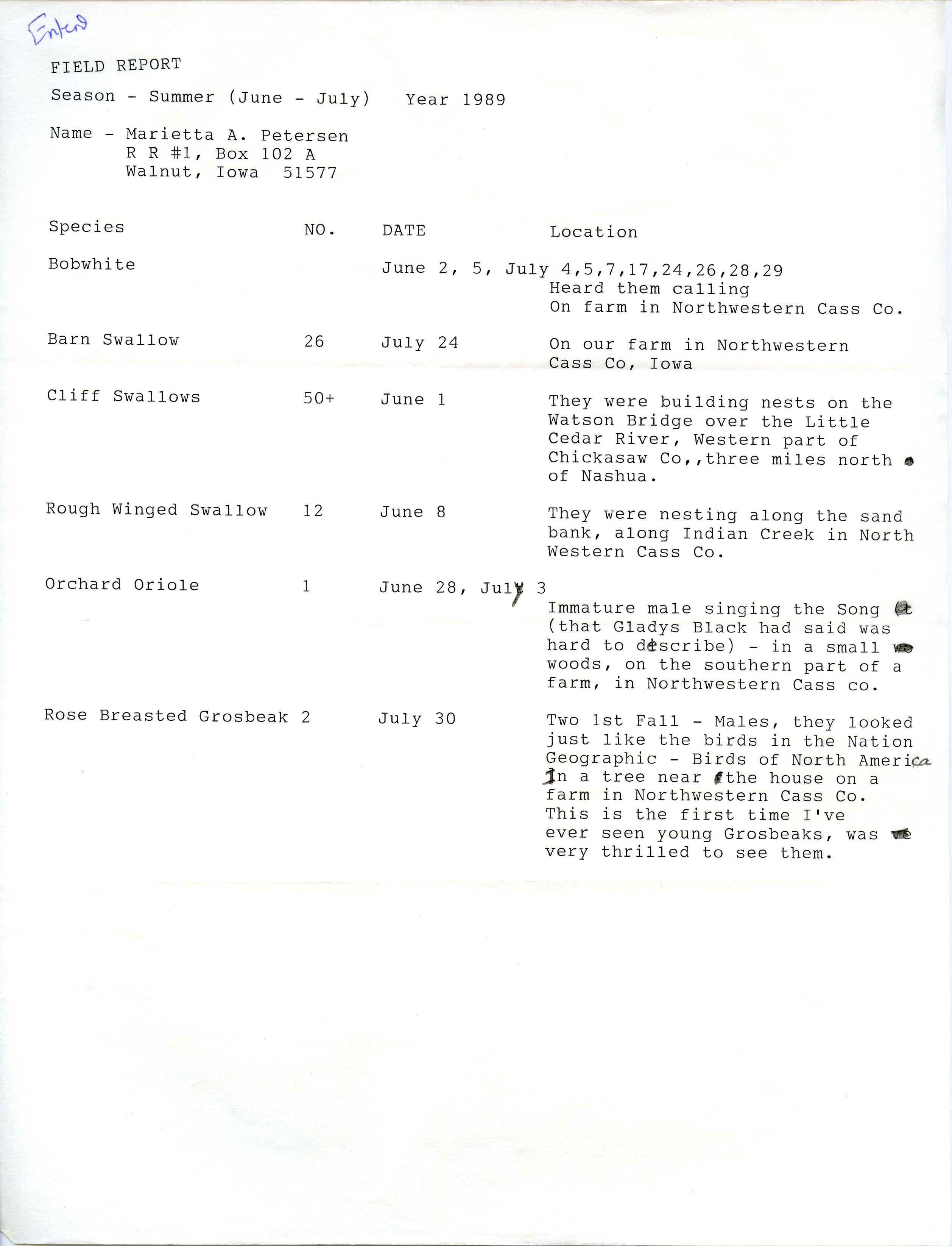 Field notes contributed by Marietta Petersen, summer 1989