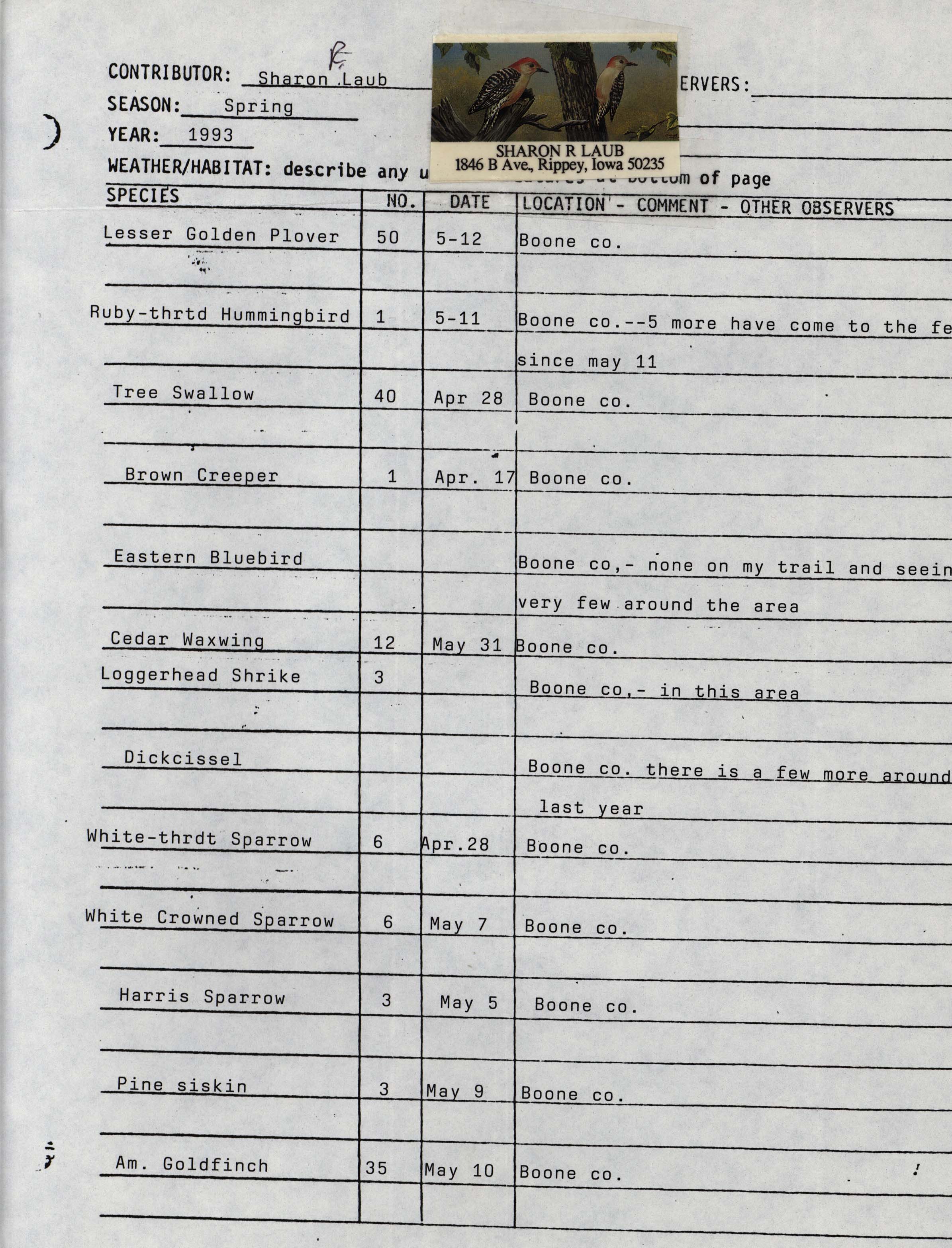 Annotated bird sighting list for Spring 1993 compiled by Sharon Laub