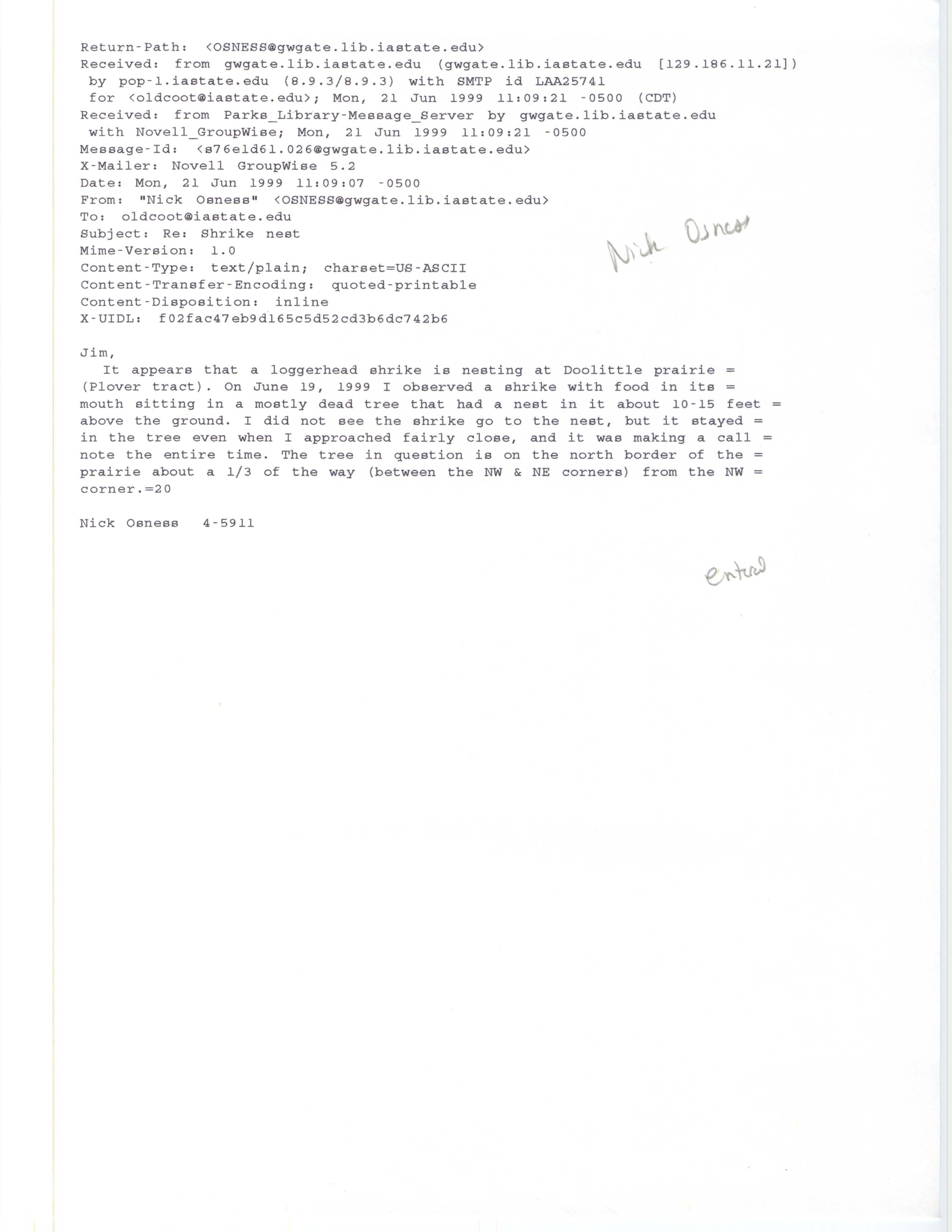 Nick Osness email to Jim Dinsmore regarding Loggerhead Shrike nest, June 21, 1999