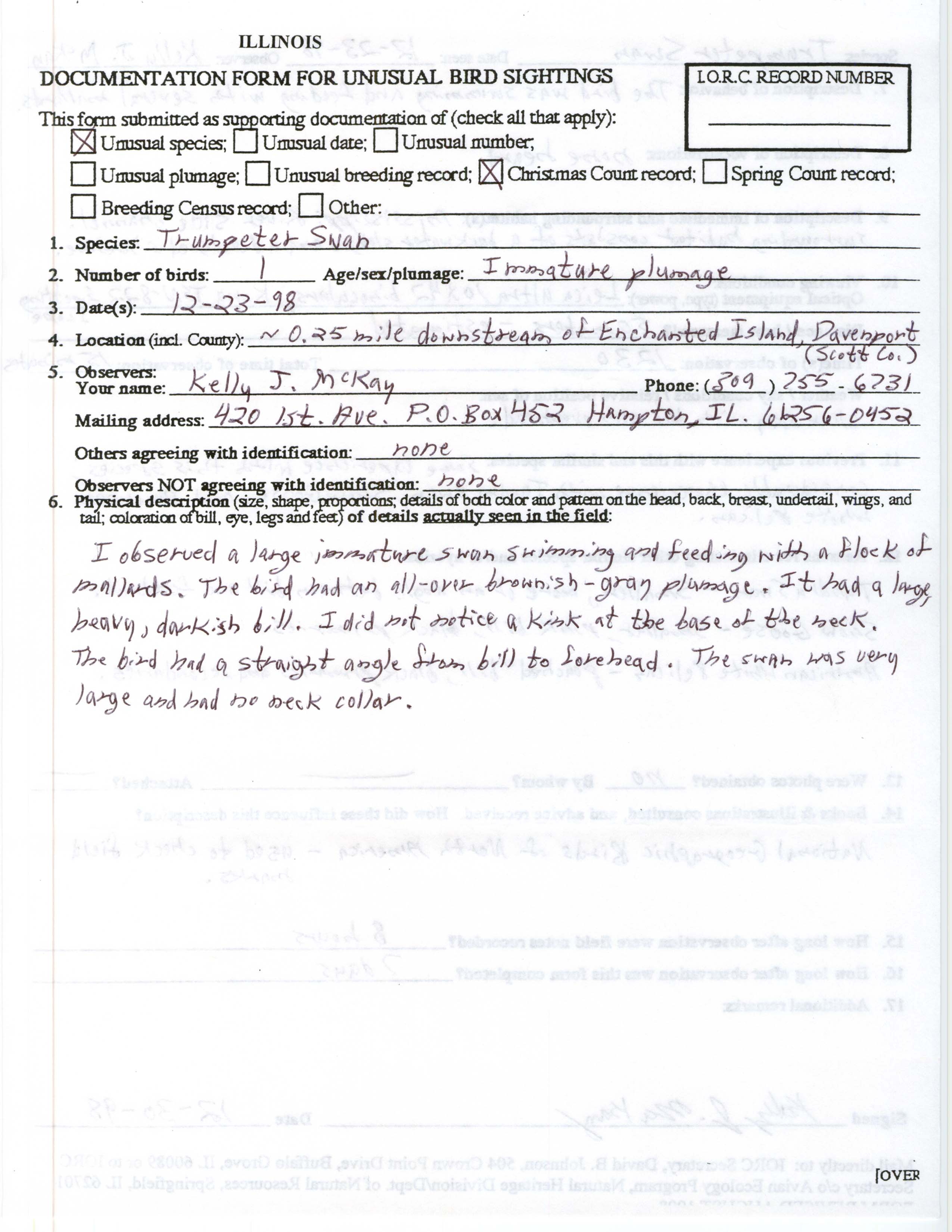 Rare bird documentation form for Trumpeter Swan at Mississippi River in Davenport, 1998