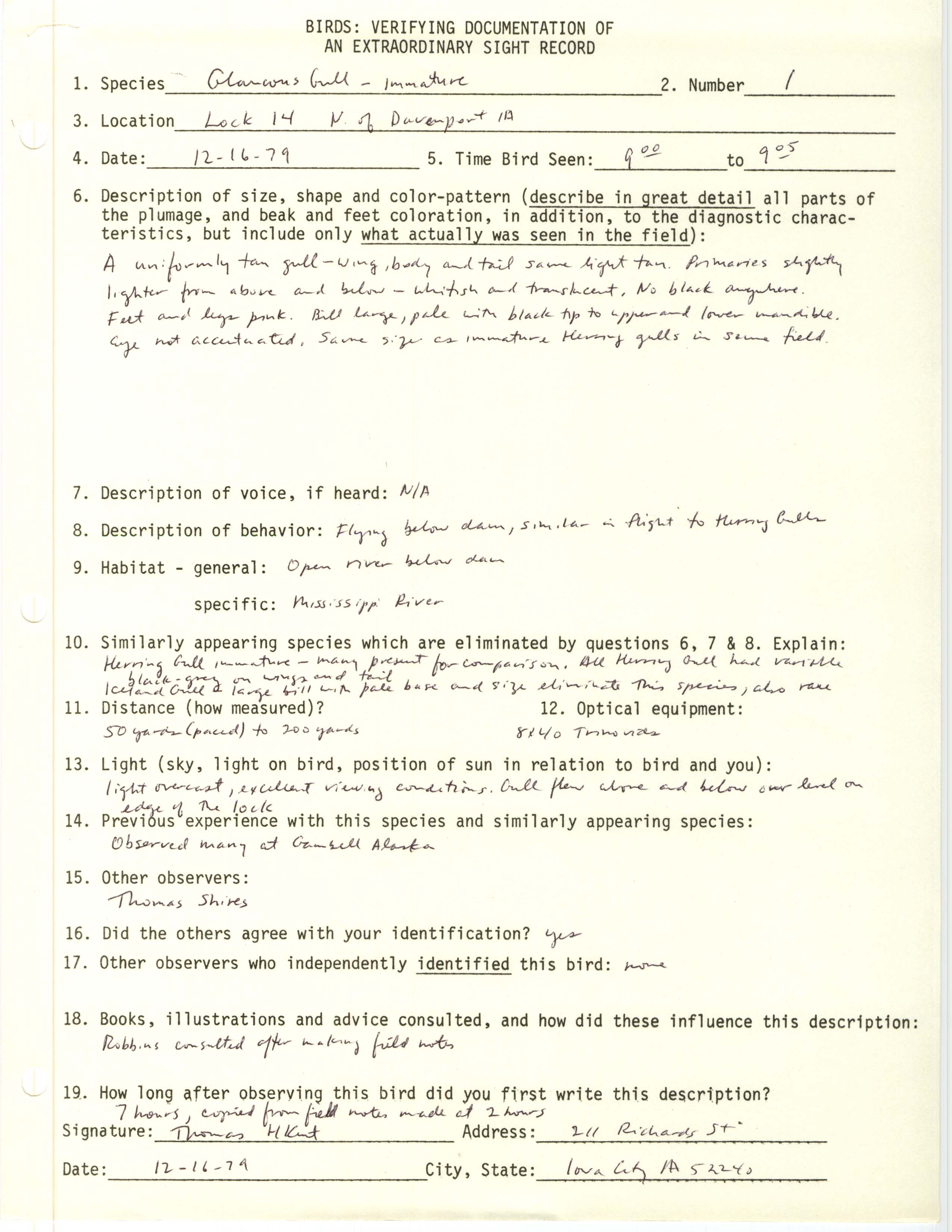 Rare bird documentation form for Glaucous Gull at Lock and Dam 14 near Davenport, 1979