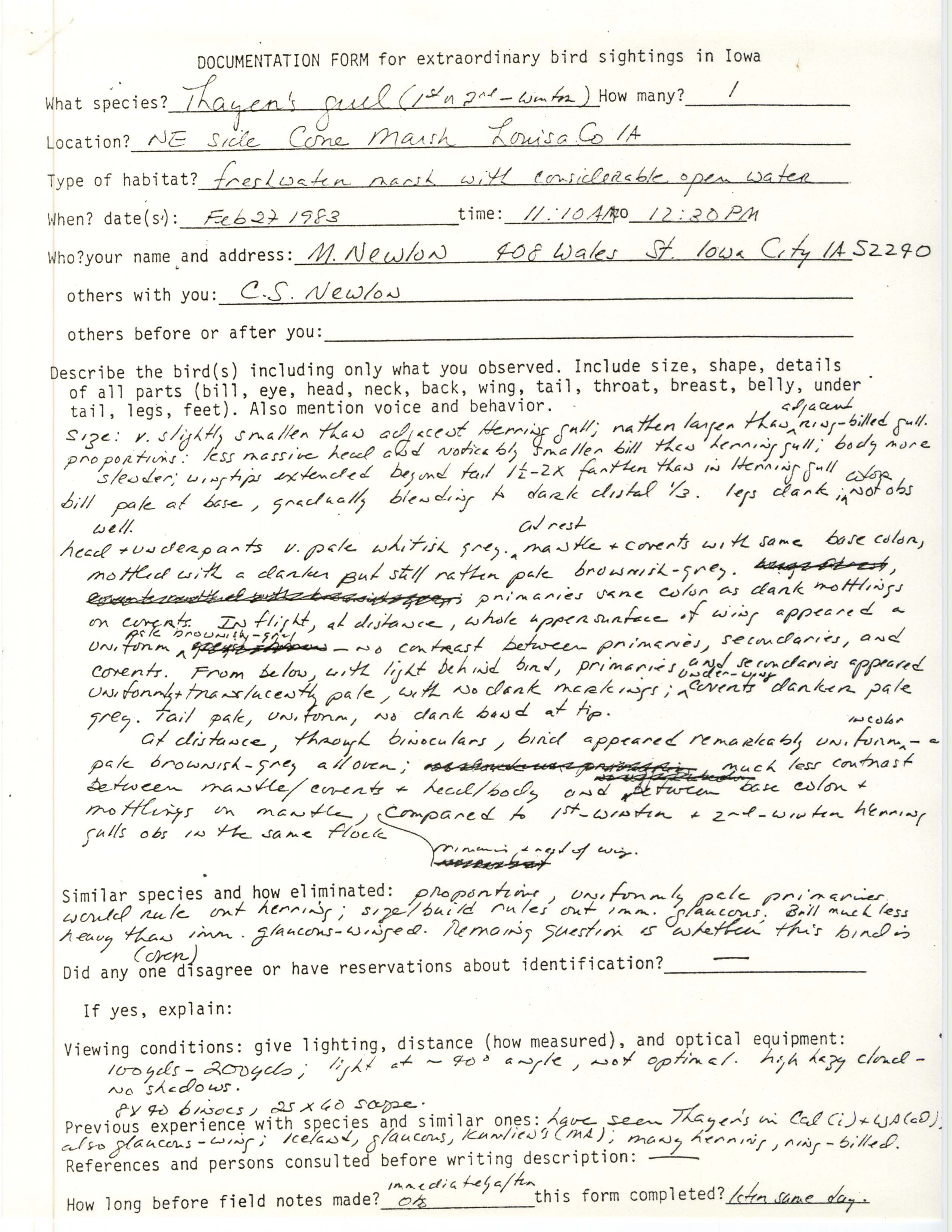Rare bird documentation form for Thayer's Gull at Cone Marsh, 1983