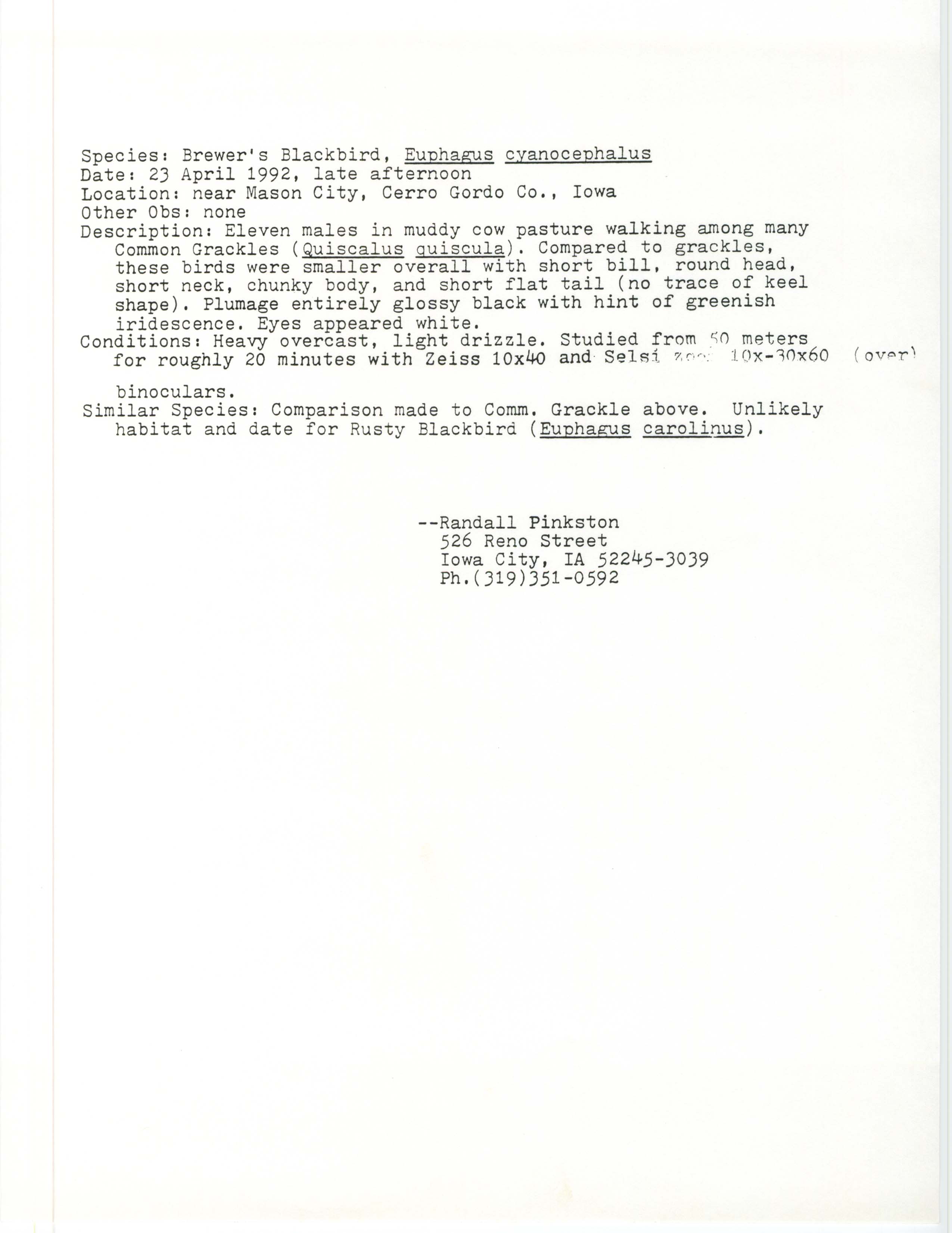 Rare bird documentation form for Brewer's Blackbird near Mason City, 1992