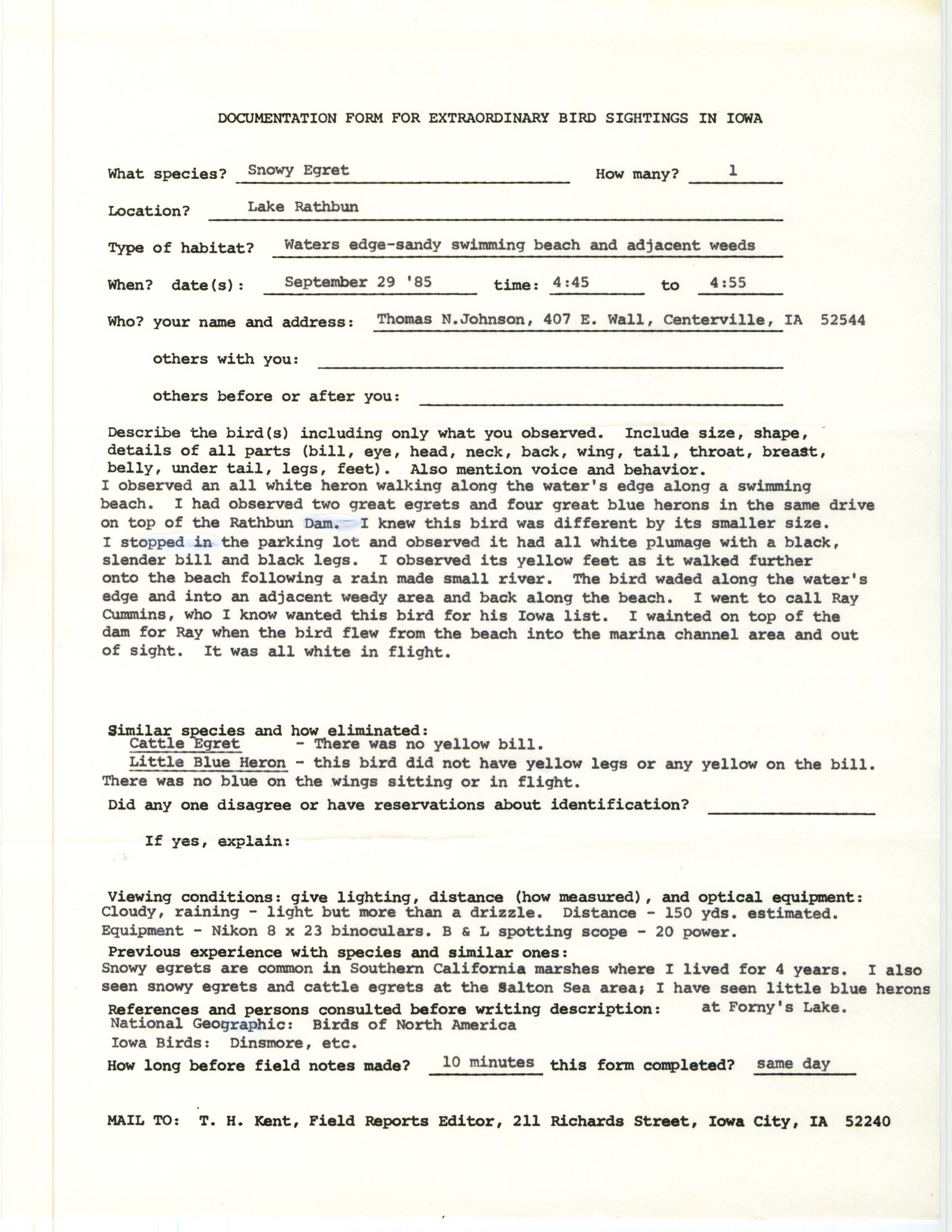 Rare bird documentation form for Snowy Egret at Lake Rathbun, 1985