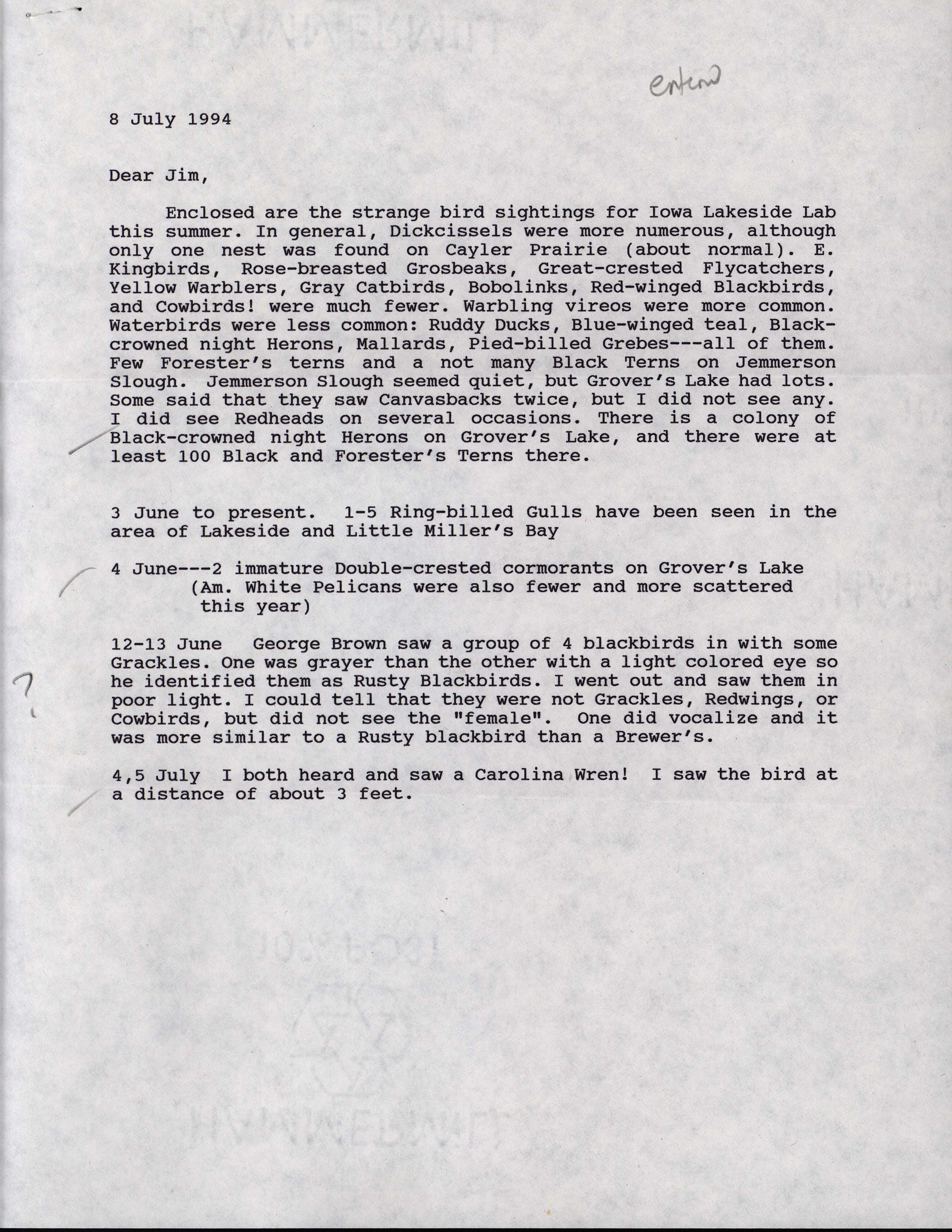 Neil Bernstein letter to Jim Dinsmore regarding summer sightings, July 8, 1994