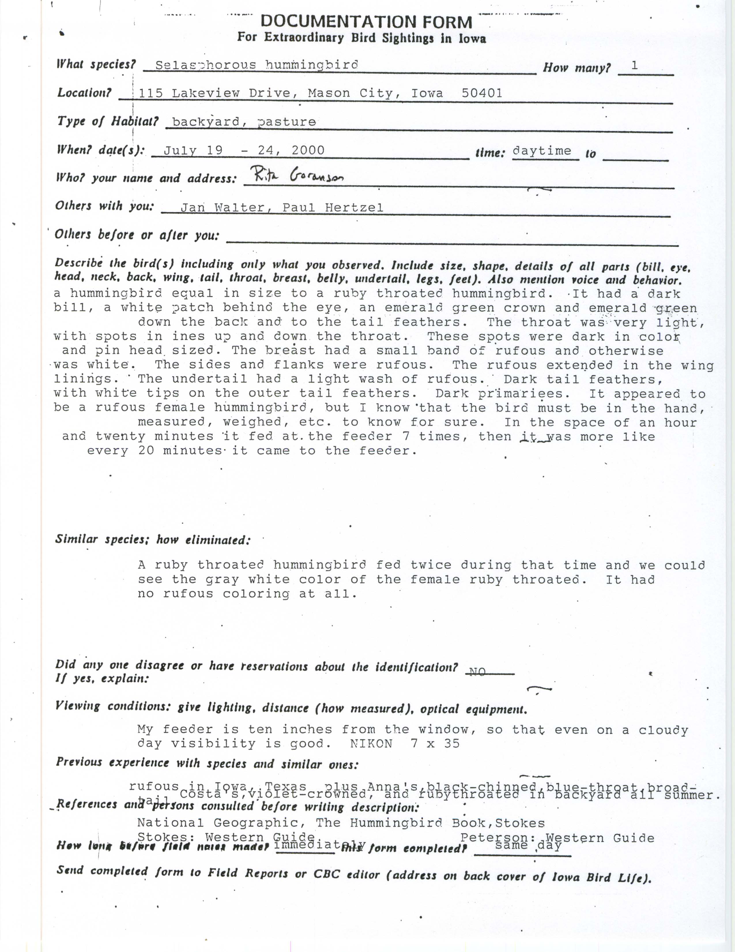 Documentation form for extraordinary bird sightings in Iowa, Selasphorus hummingbird, Rita Goranson, July 19-24, 2000
