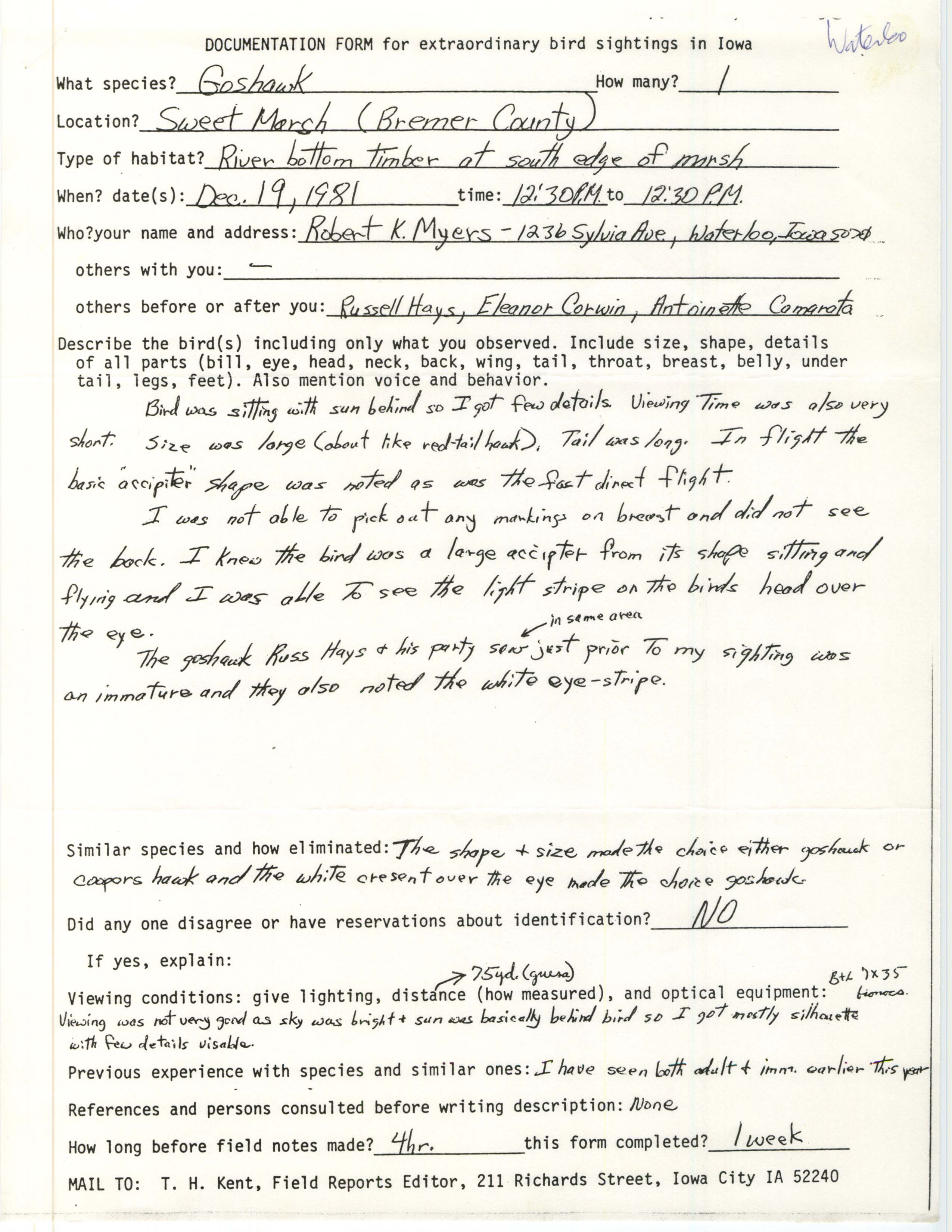 Rare bird documentation form for Northern Goshawk at Sweet Marsh, 1981