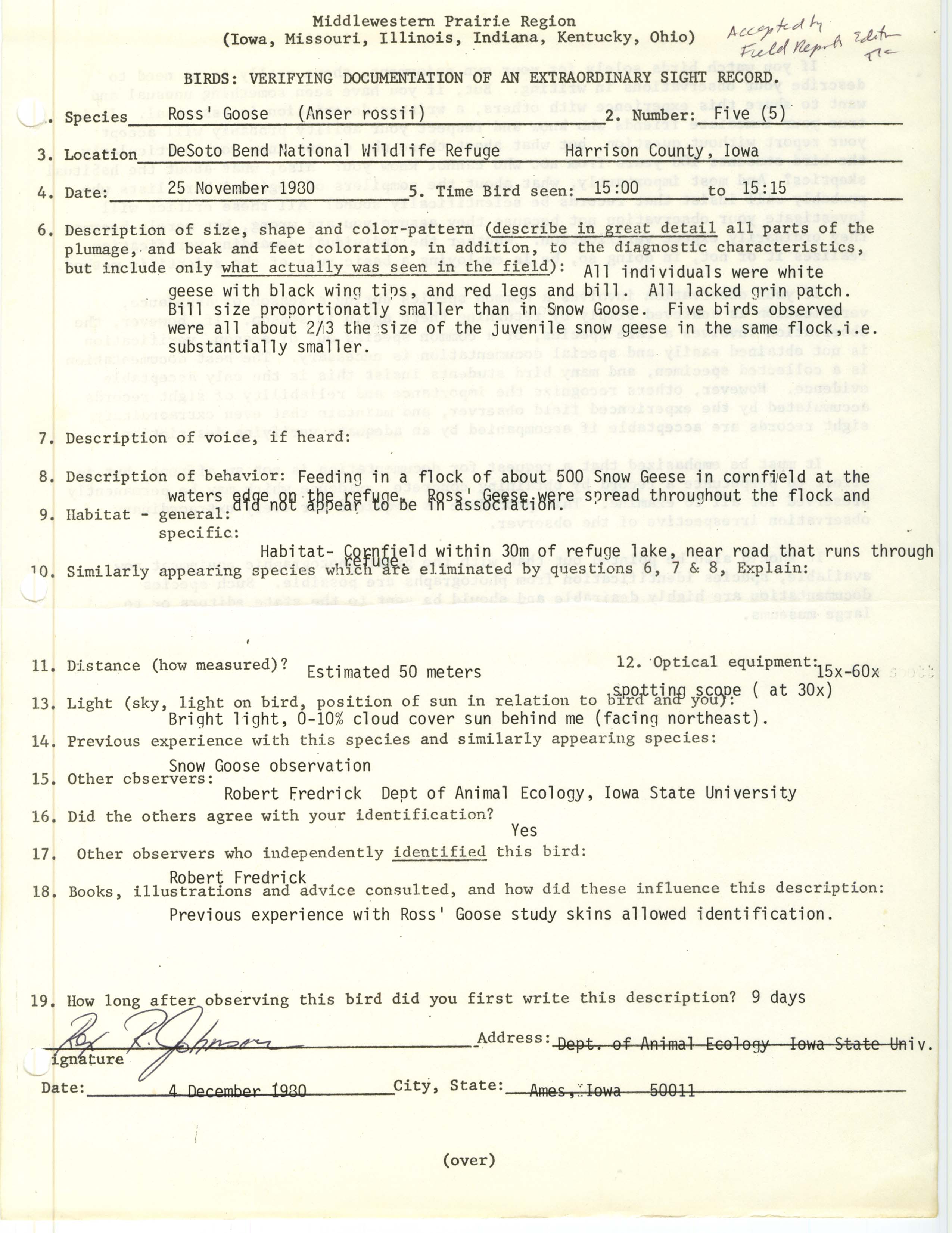Rare bird documentation form for Ross' Goose at DeSoto Bend National Wildlife Refuge, 1980