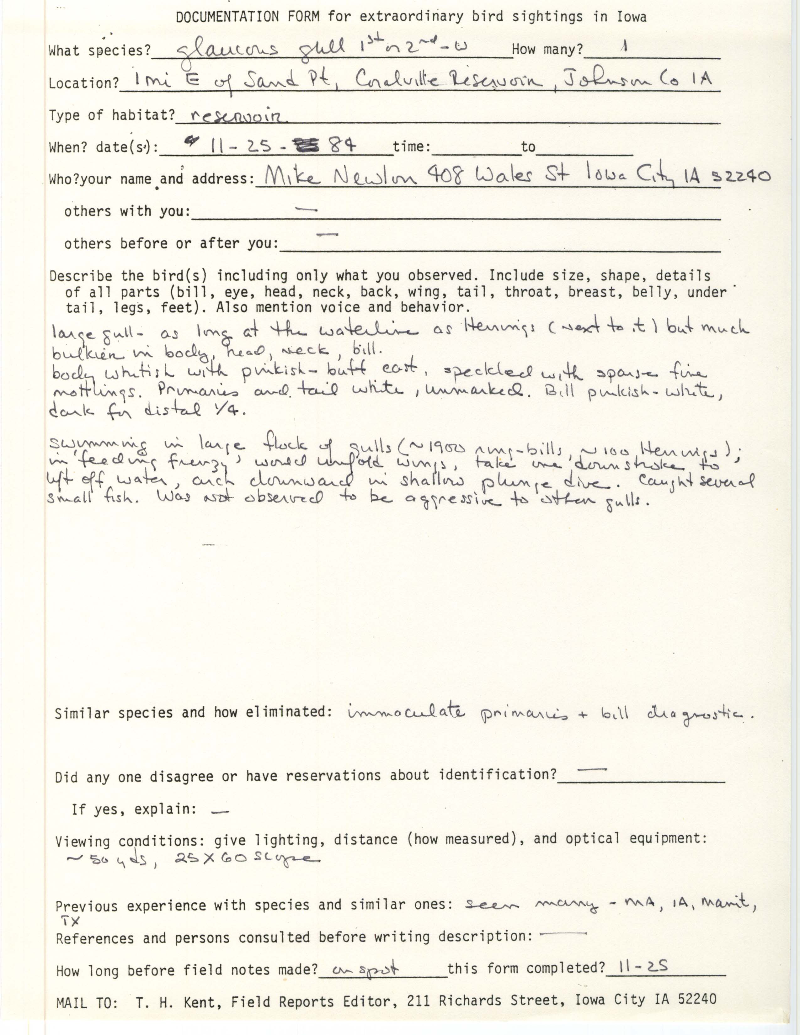 Rare bird documentation form for Glaucous Gull east of Sand Point at Coralville Reservoir, 1984