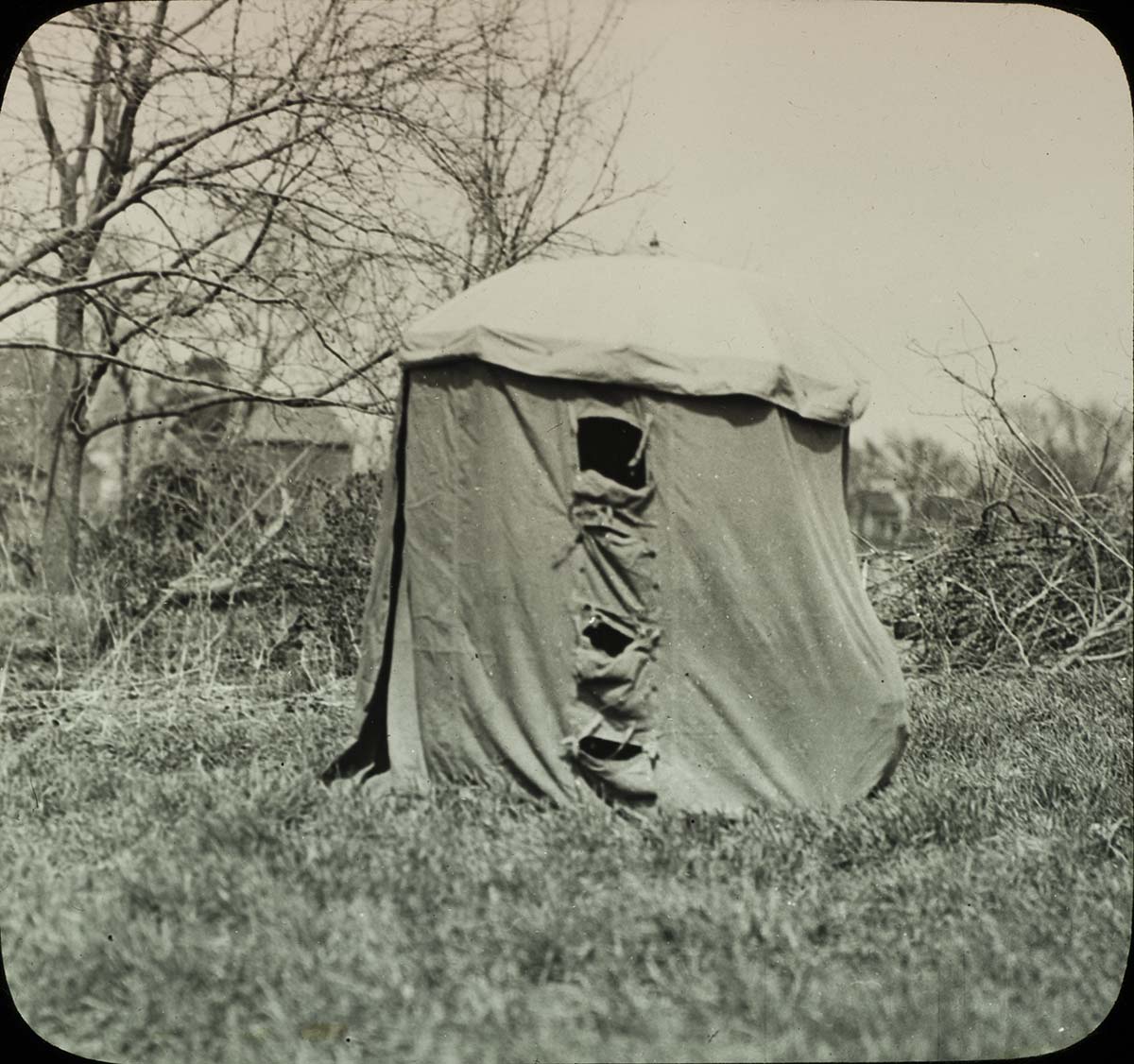 Lantern slide and photograph of an umbrella blind for photographing birds