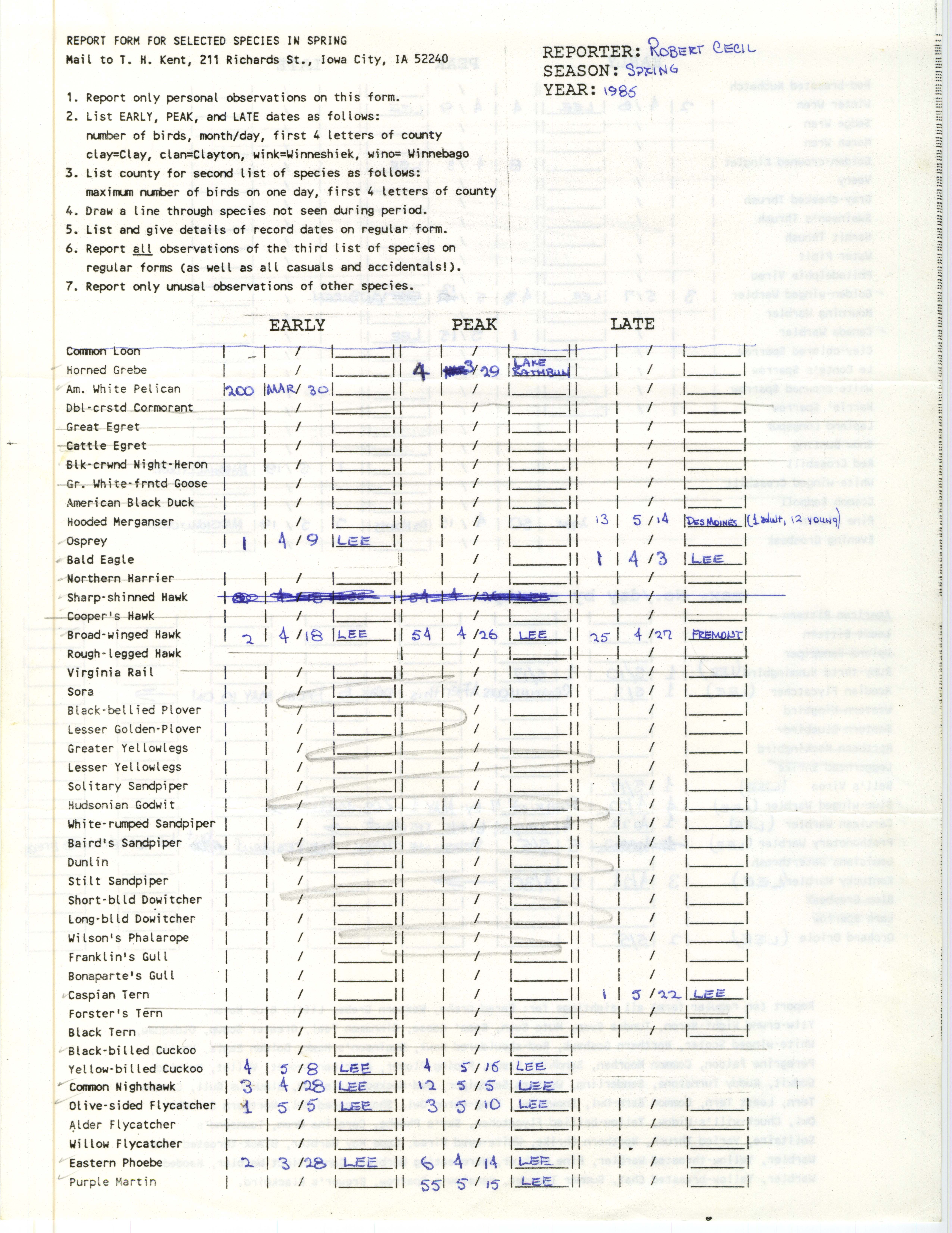 Report form for selected species in spring, contributed by Robert Cecil, spring 1985
