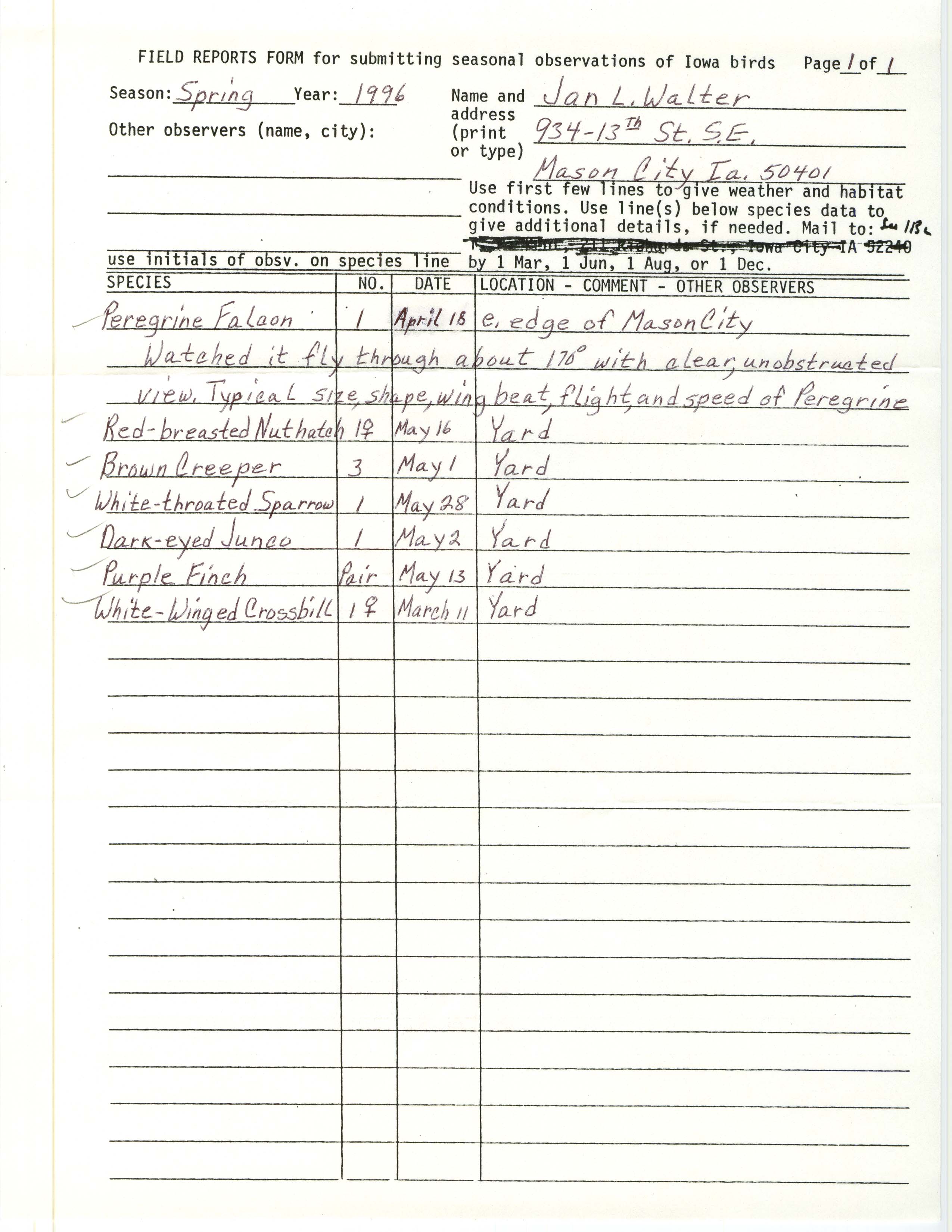 Field reports form for submitting seasonal observations of Iowa birds, Jan L. Walter, spring 1996