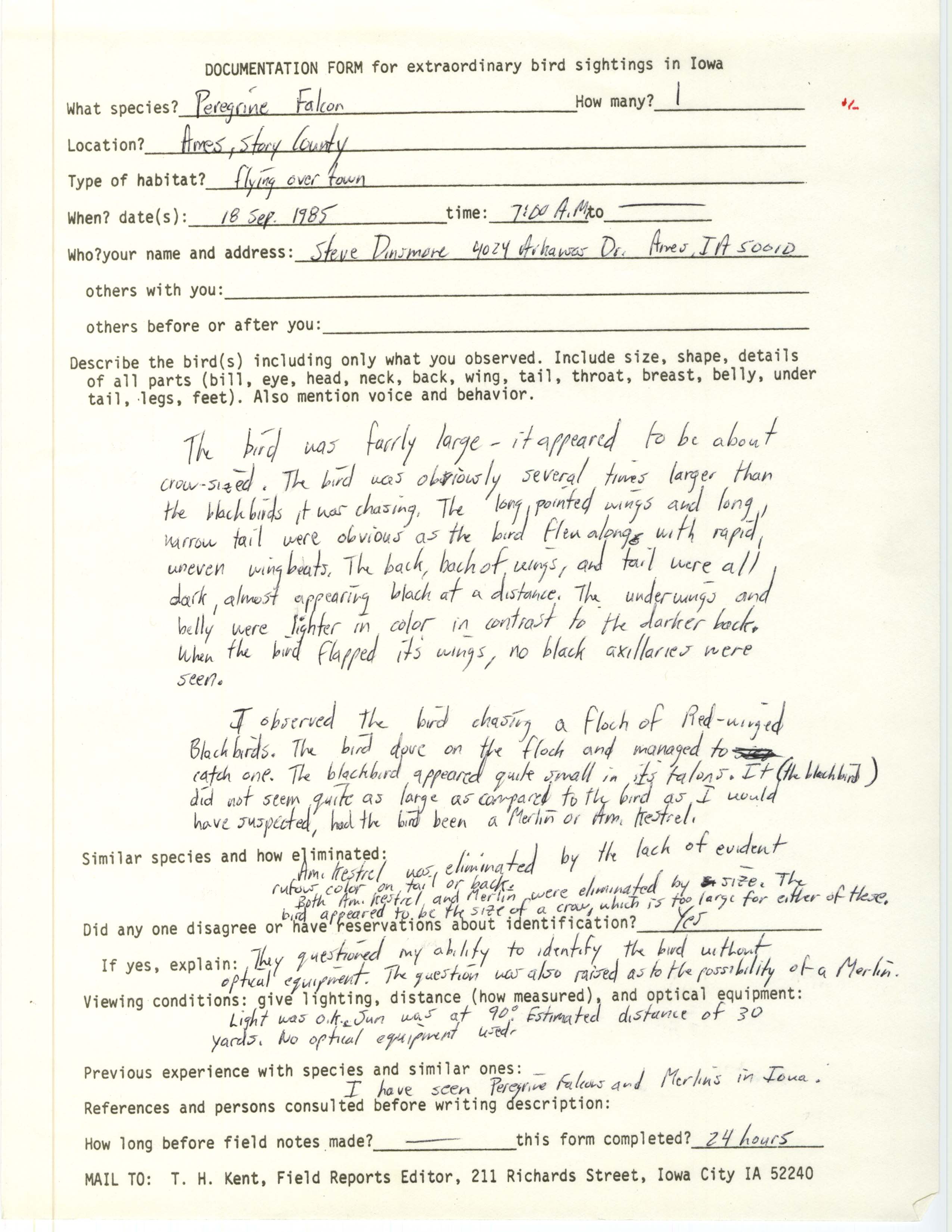 Rare bird documentation form for Peregrine Falcon at Ames, 1985