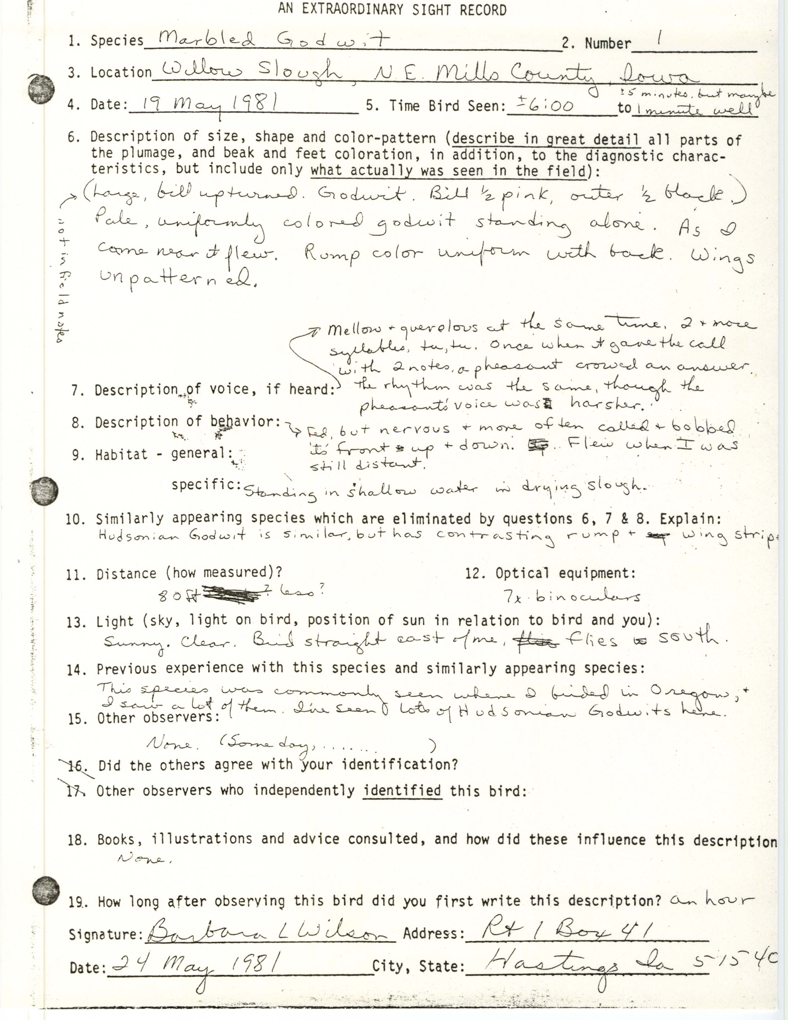 Rare bird documentation form for Marbled Godwit at Willow Slough, 1981