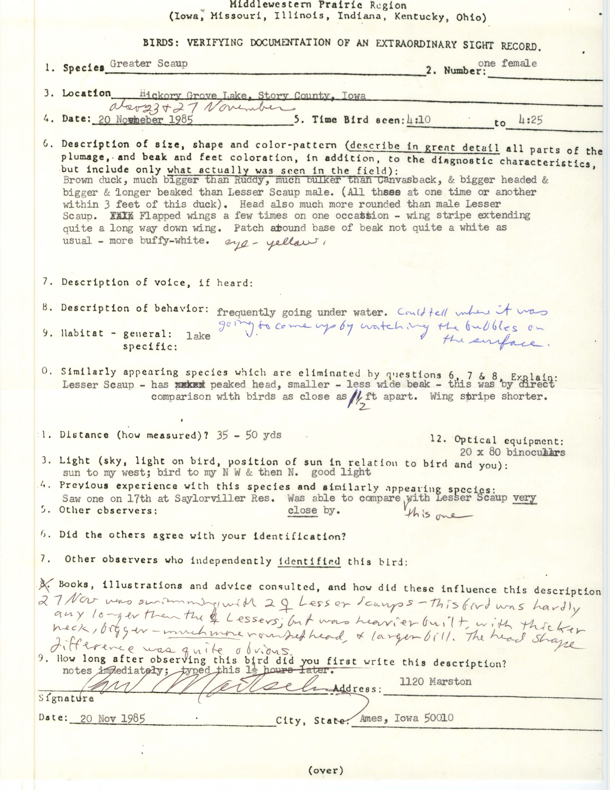Rare bird documentation form for Greater Scaup at Hickory Grove Lake in 1985
