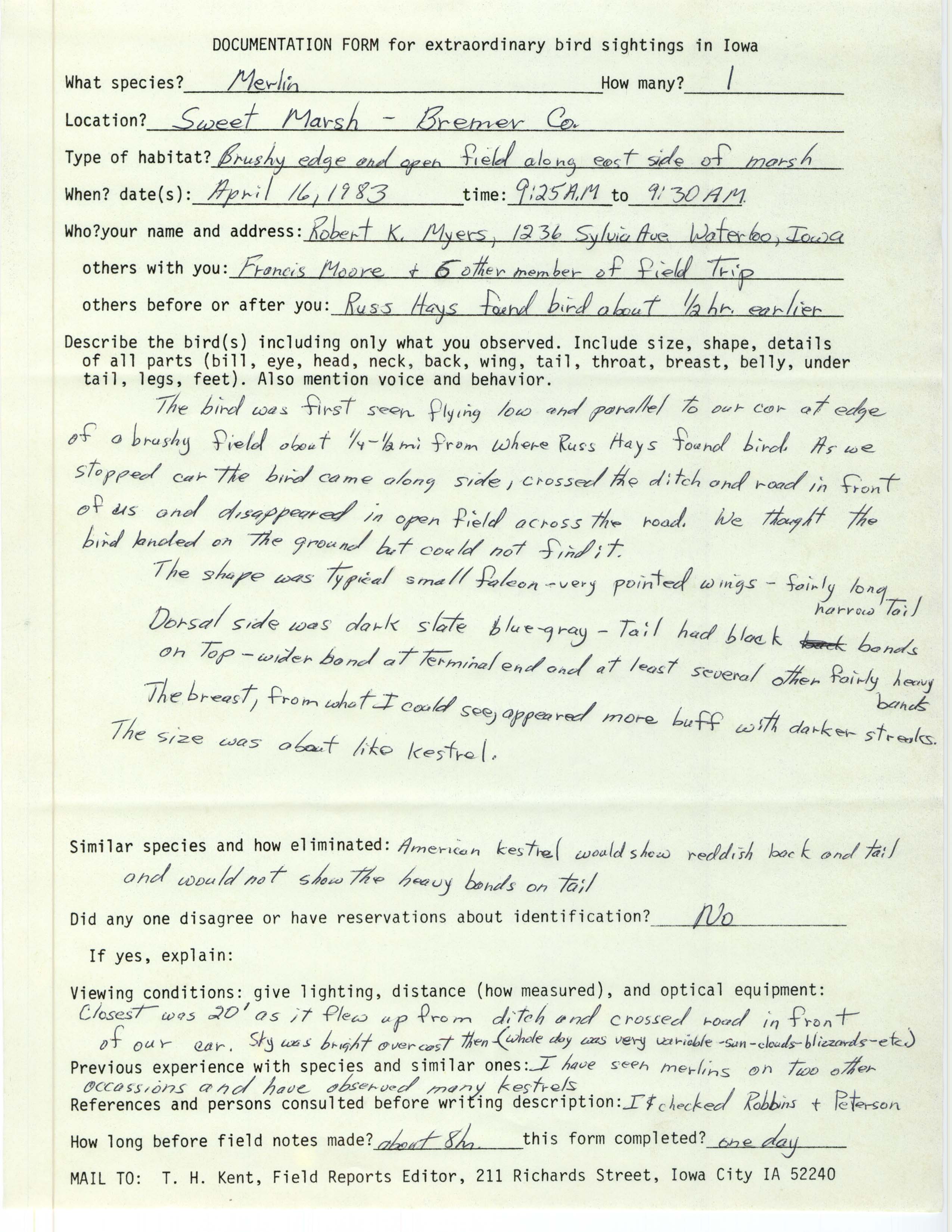 Rare bird documentation form for Merlin at Sweet Marsh, 1983