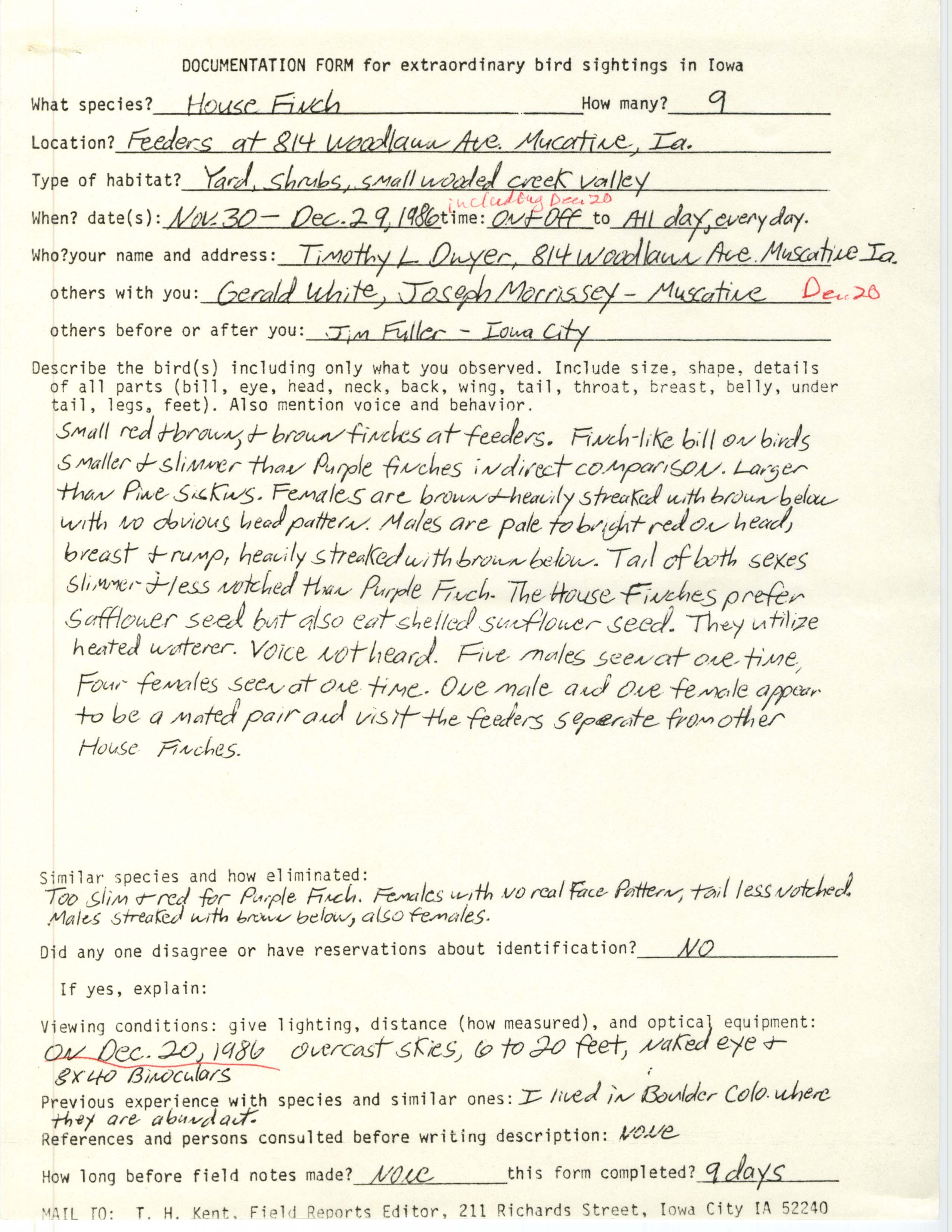 Rare bird documentation form for House Finch at Muscatine in 1986