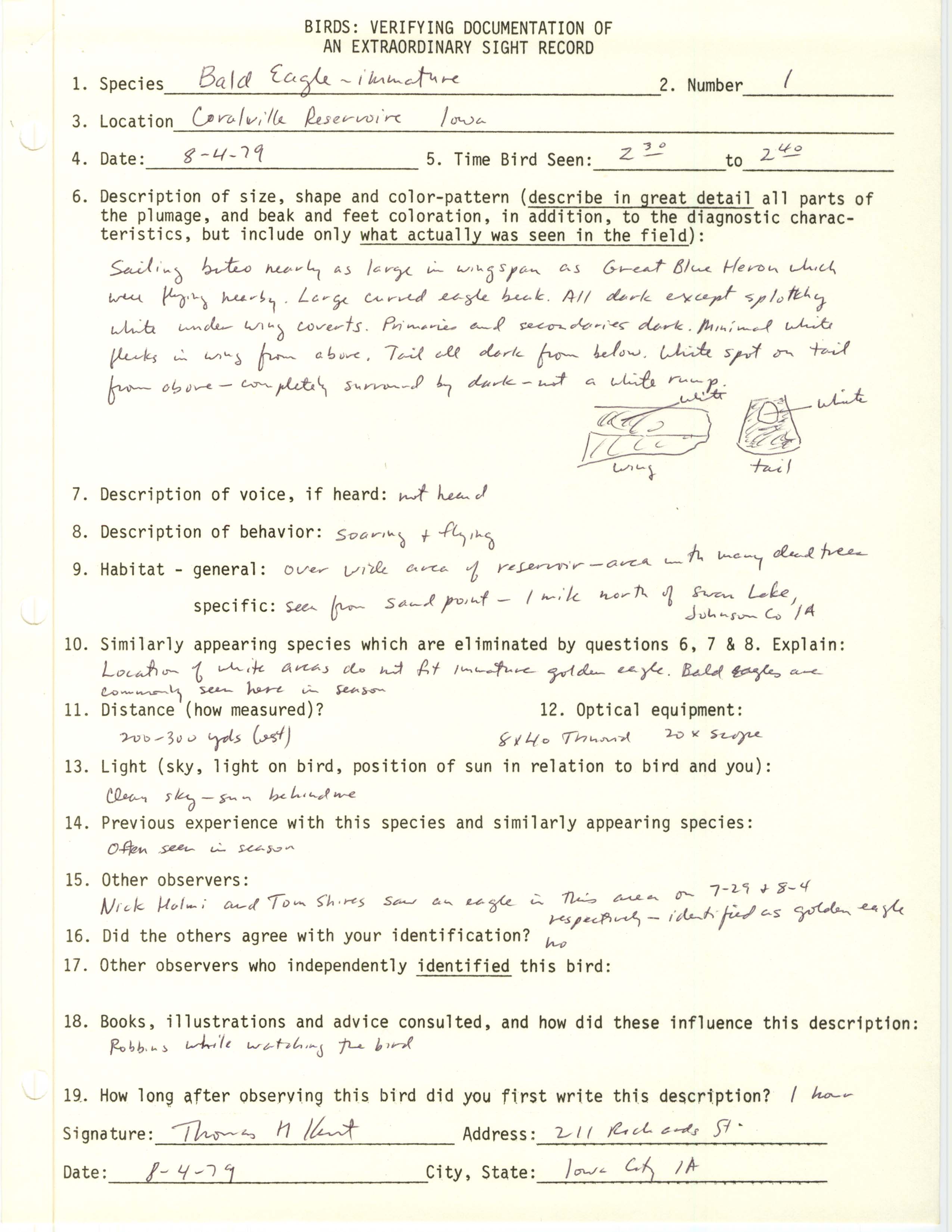 Rare bird documentation form for Bald Eagle at Coralville Reservoir, 1979