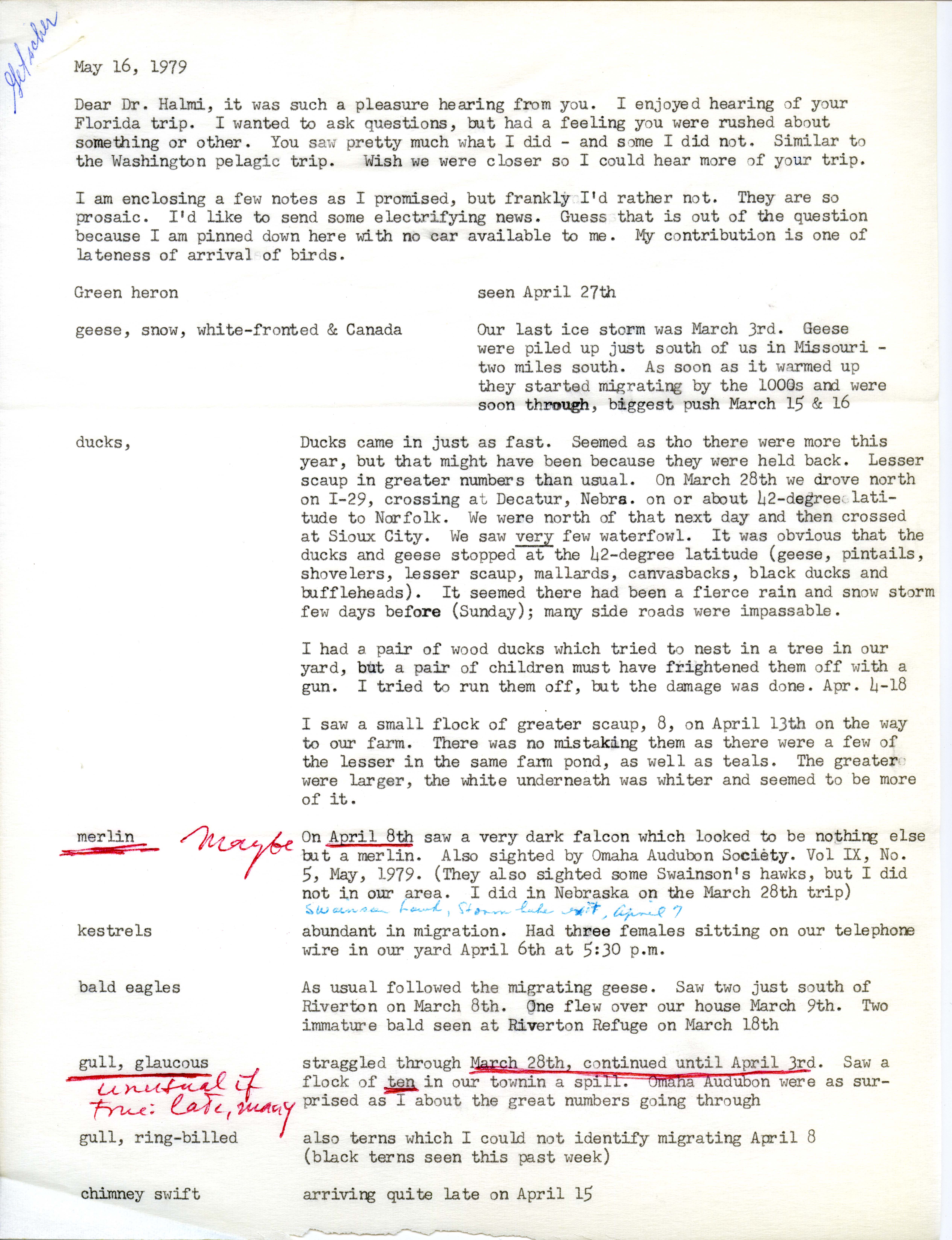 Ione Getscher letter to Nicholas S. Halmi regarding spring bird sightings, May 16, 1979