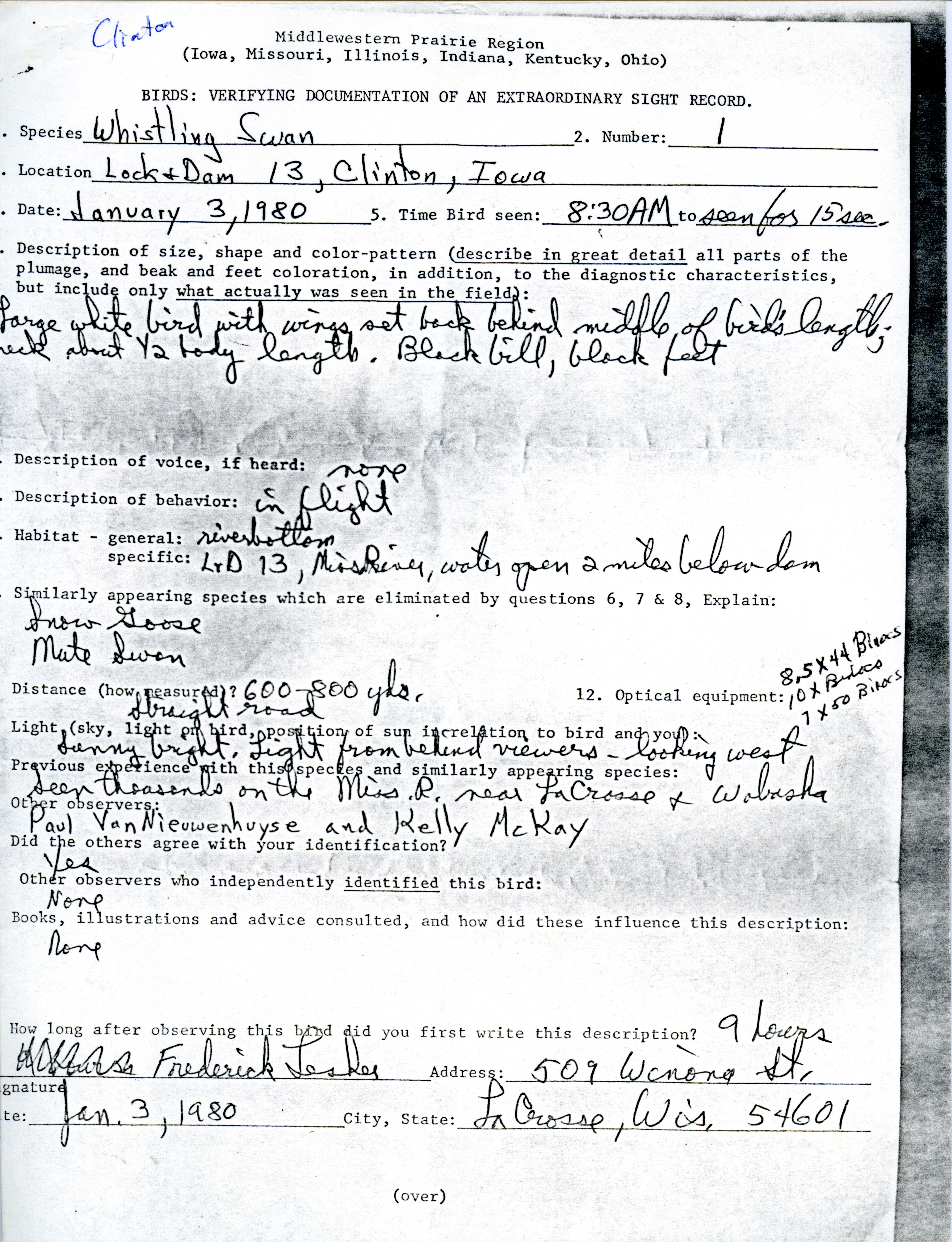 Verifying documentation form for Whistling Swan sighting submitted by Frederick Lesher, January 3 1981