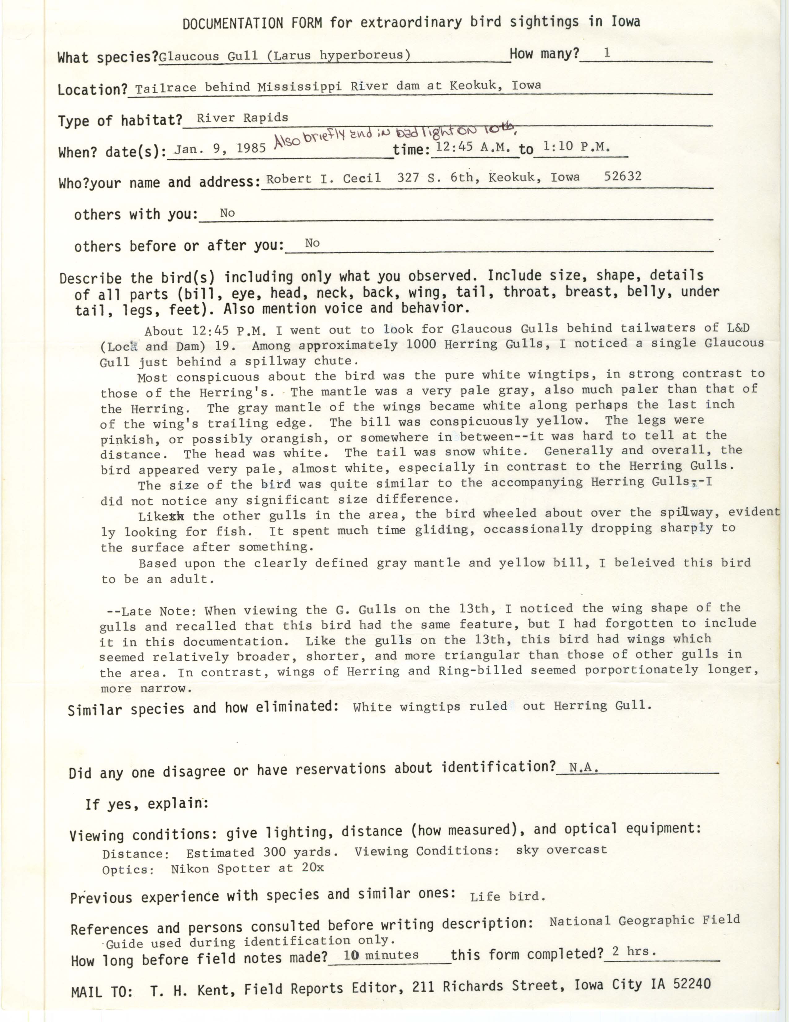 Rare bird documentation form for Glaucous Gull at Lock and Dam 19 at Keokuk, 1985