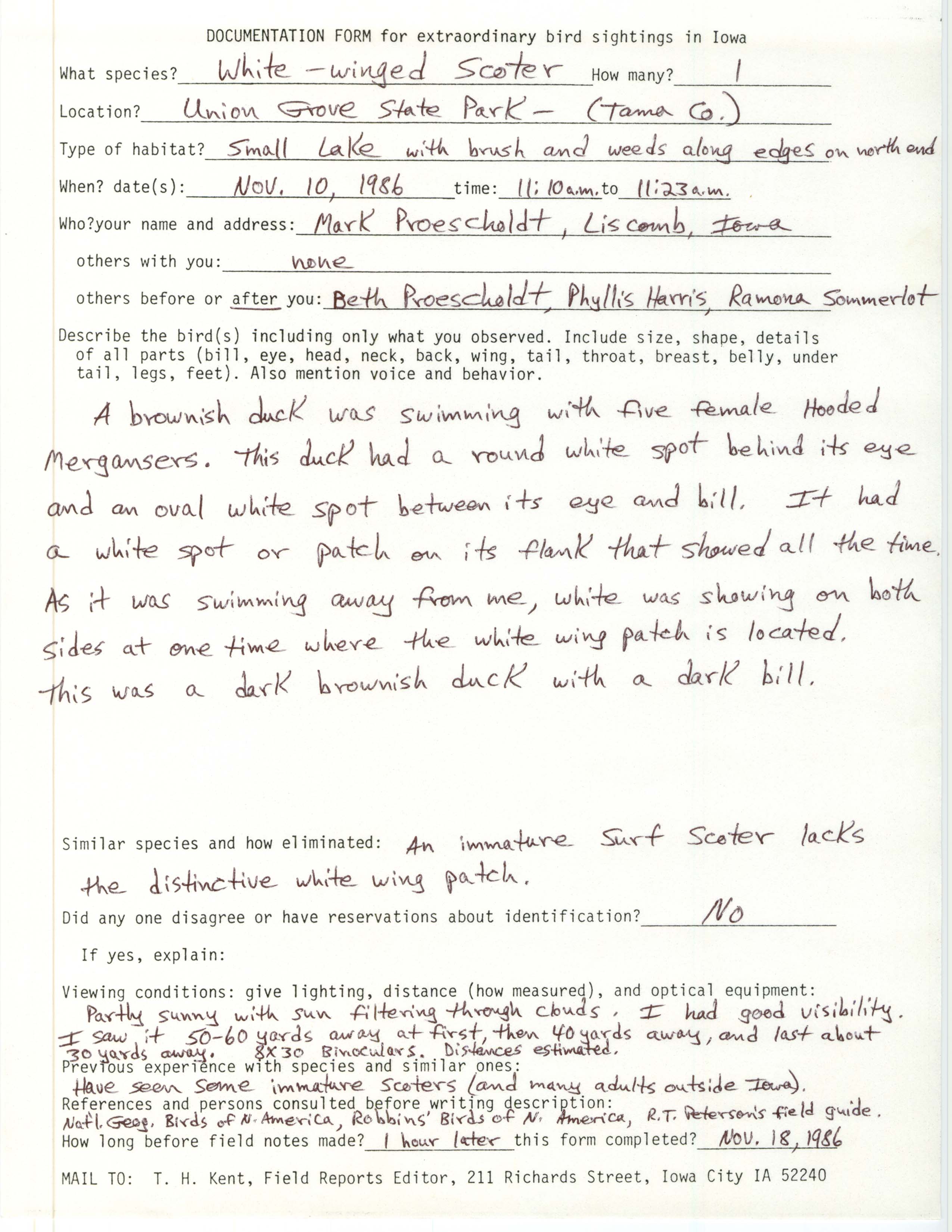 Rare bird documentation form for White-winged Scoter at Union Grove State Park, 1986