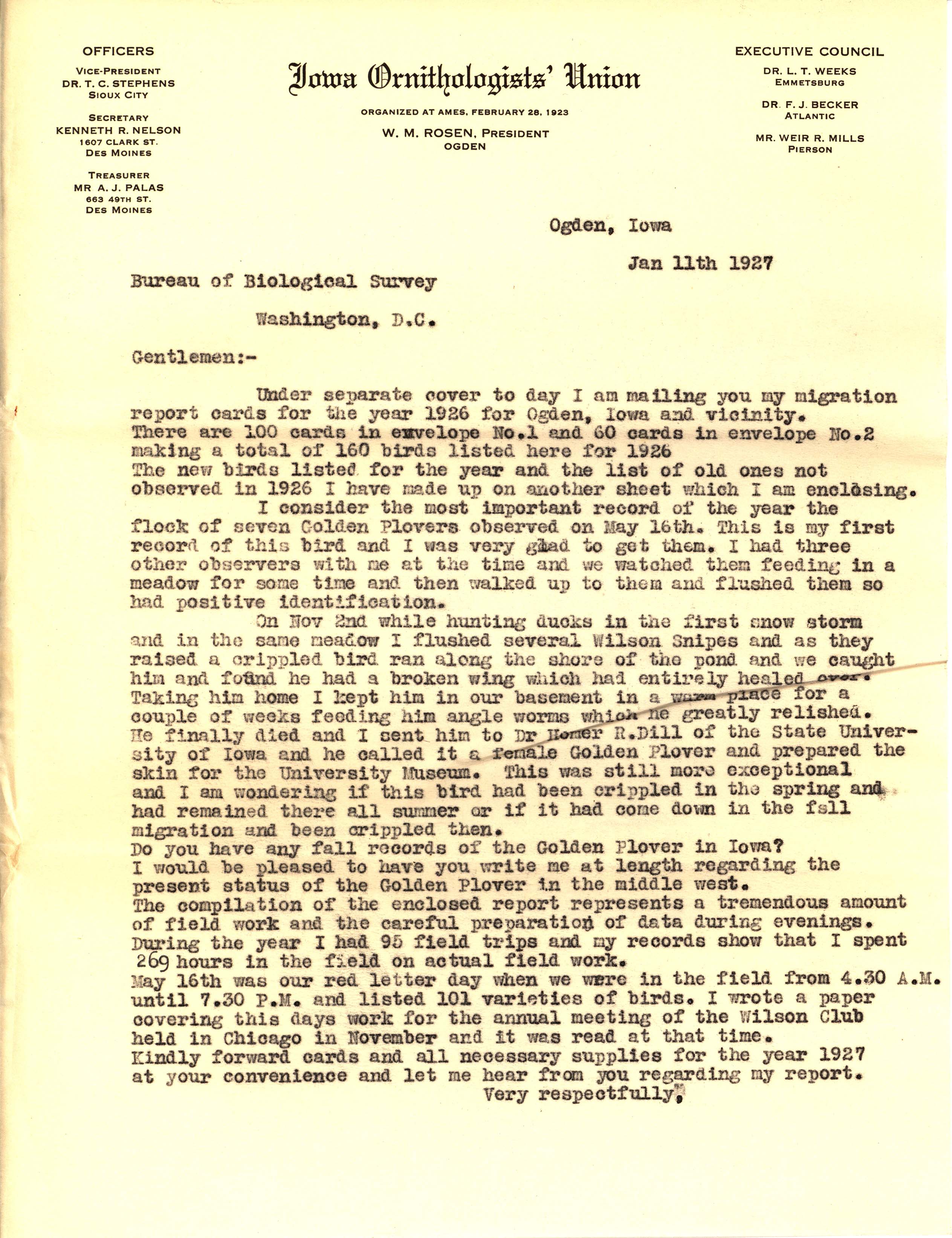 Walter Rosene letter to Bureau of Biological Survey regarding birds sighted in 1926, January 11, 1927