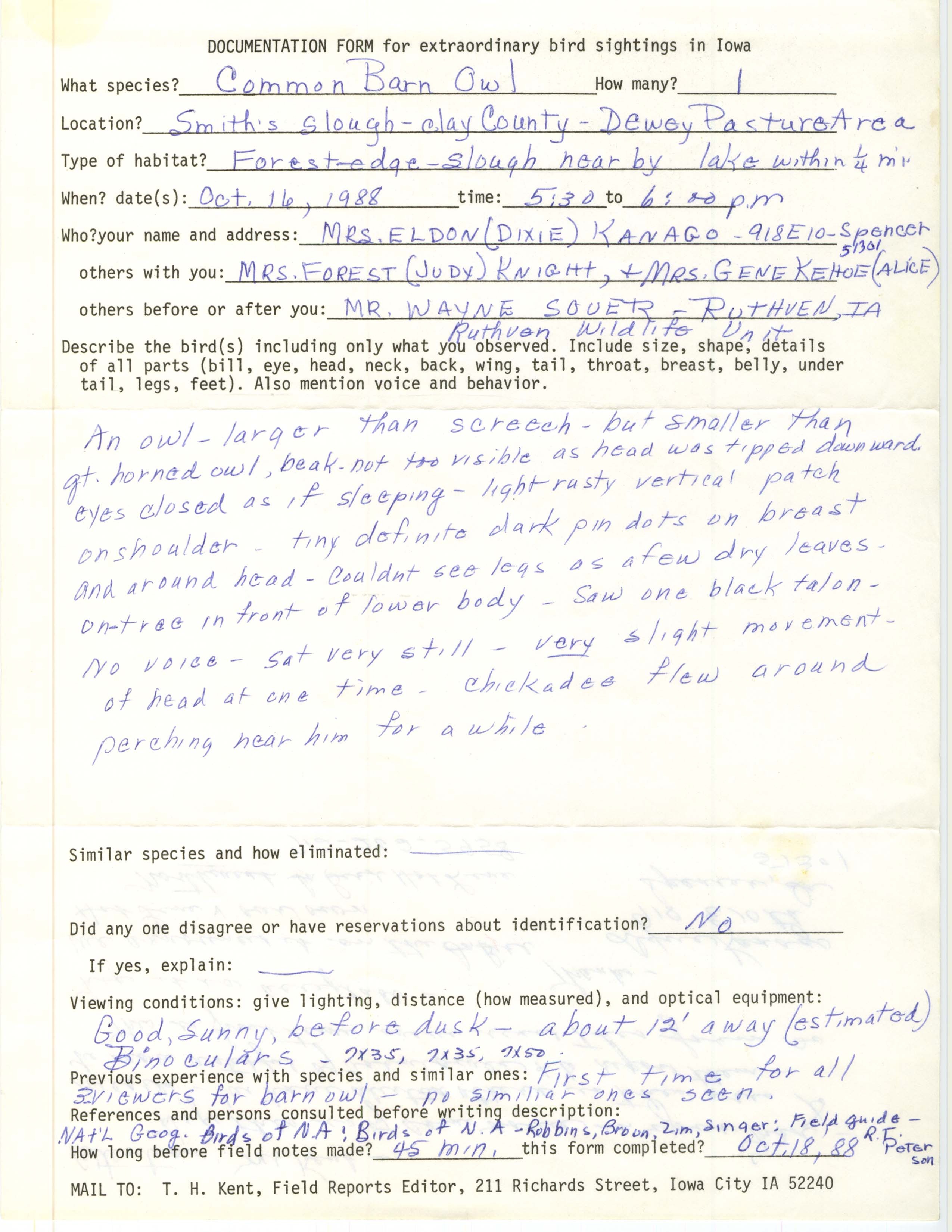 Rare bird documentation form for Common Barn Owl at Smith's Slough, 1988