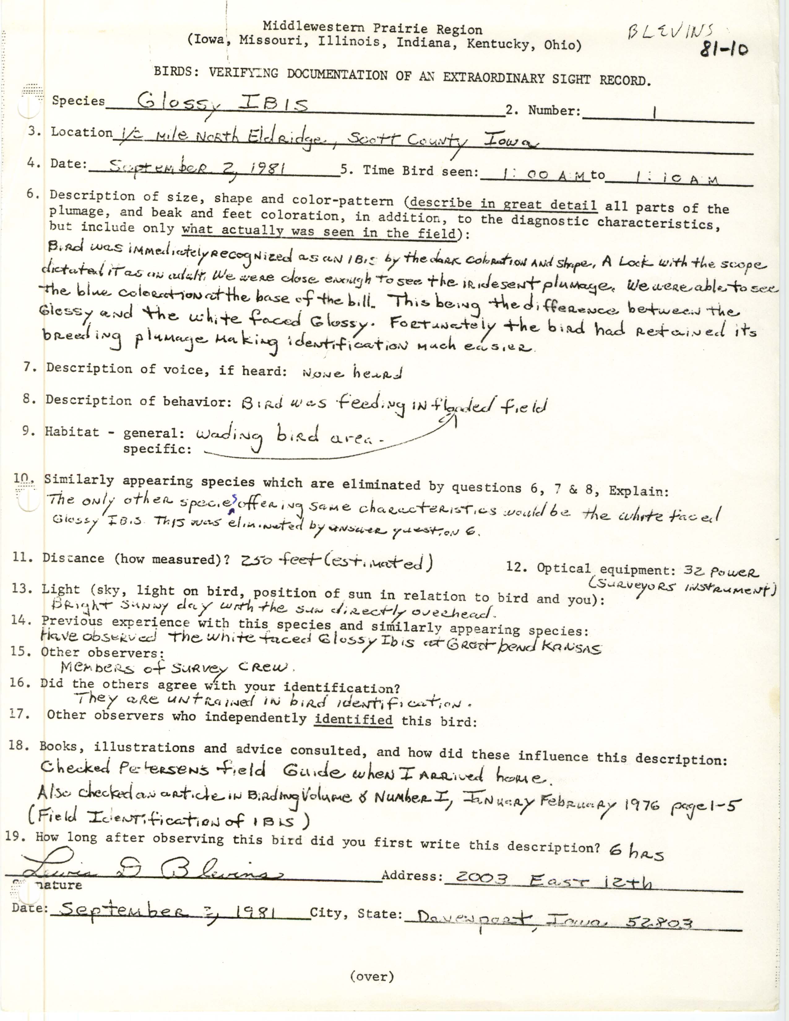 Rare bird documentation form for Glossy Ibis at Eldridge, 1981