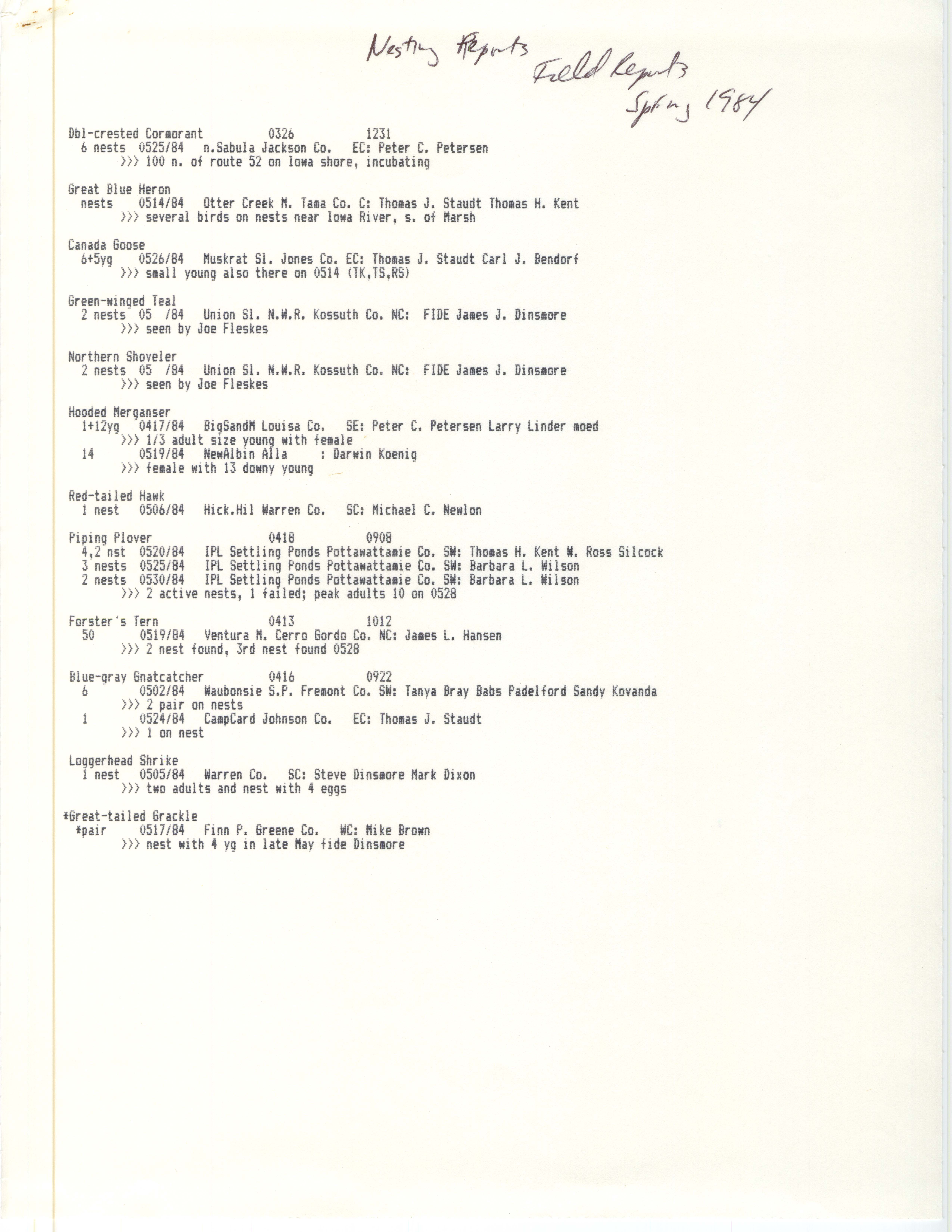 Nesting reports, field reports, spring 1984