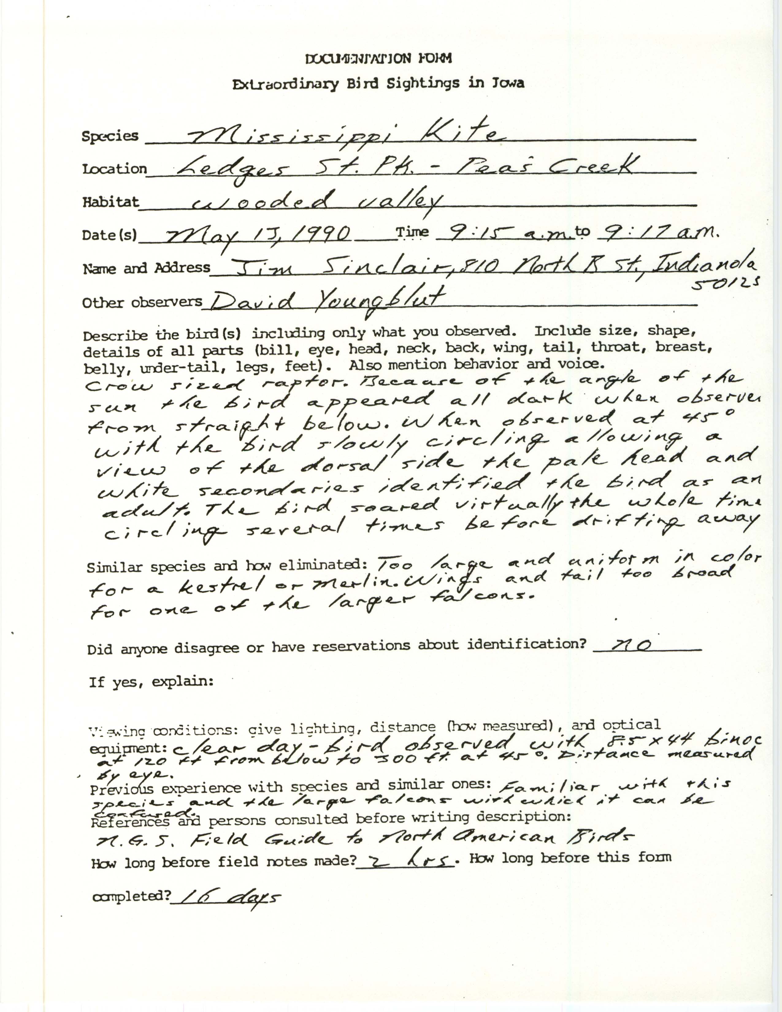 Rare bird documentation form for Mississippi Kite at Ledges State Park, 1990