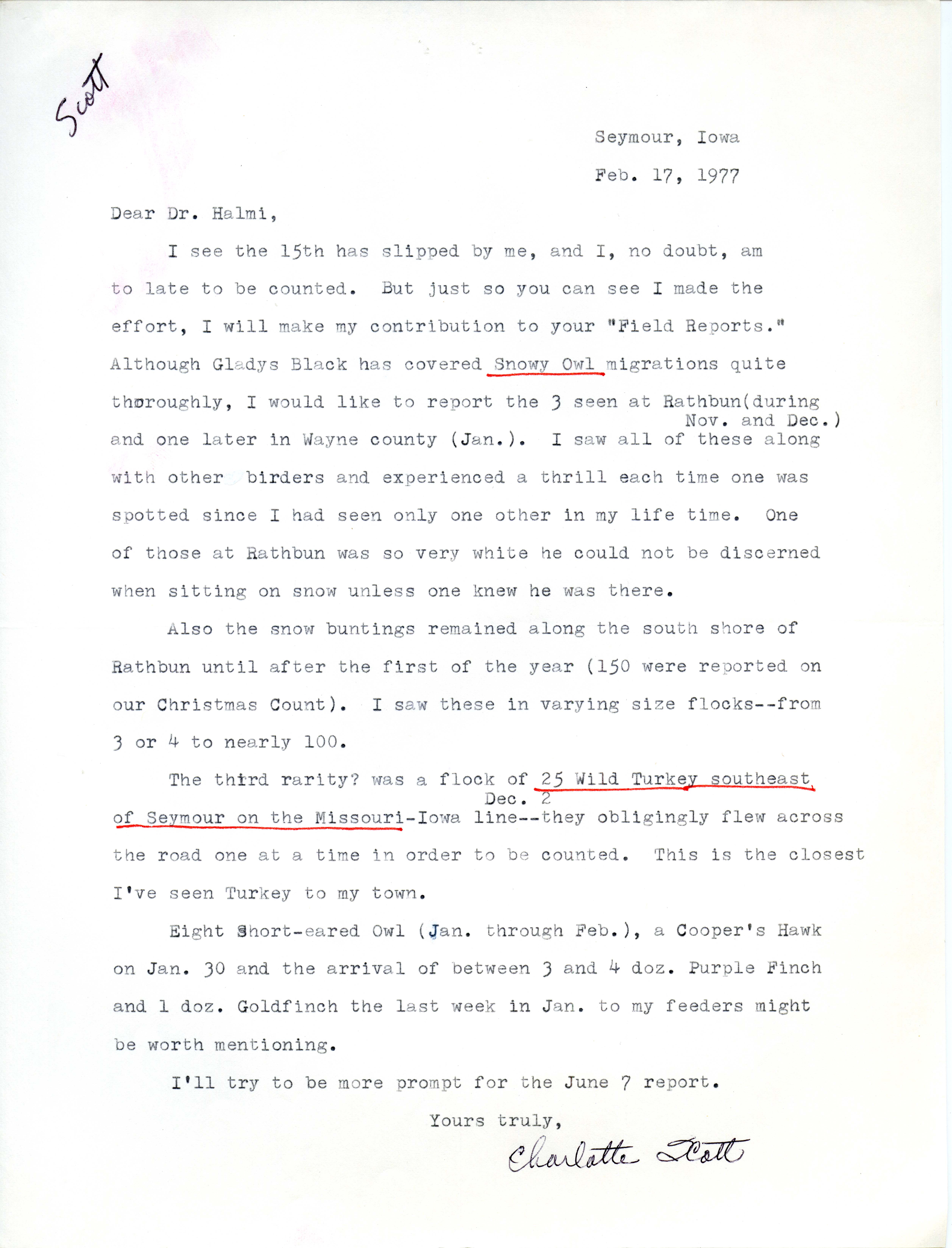 Charlotte Scott letter to Nicholas S. Halmi regarding bird sightings, February 17, 1977