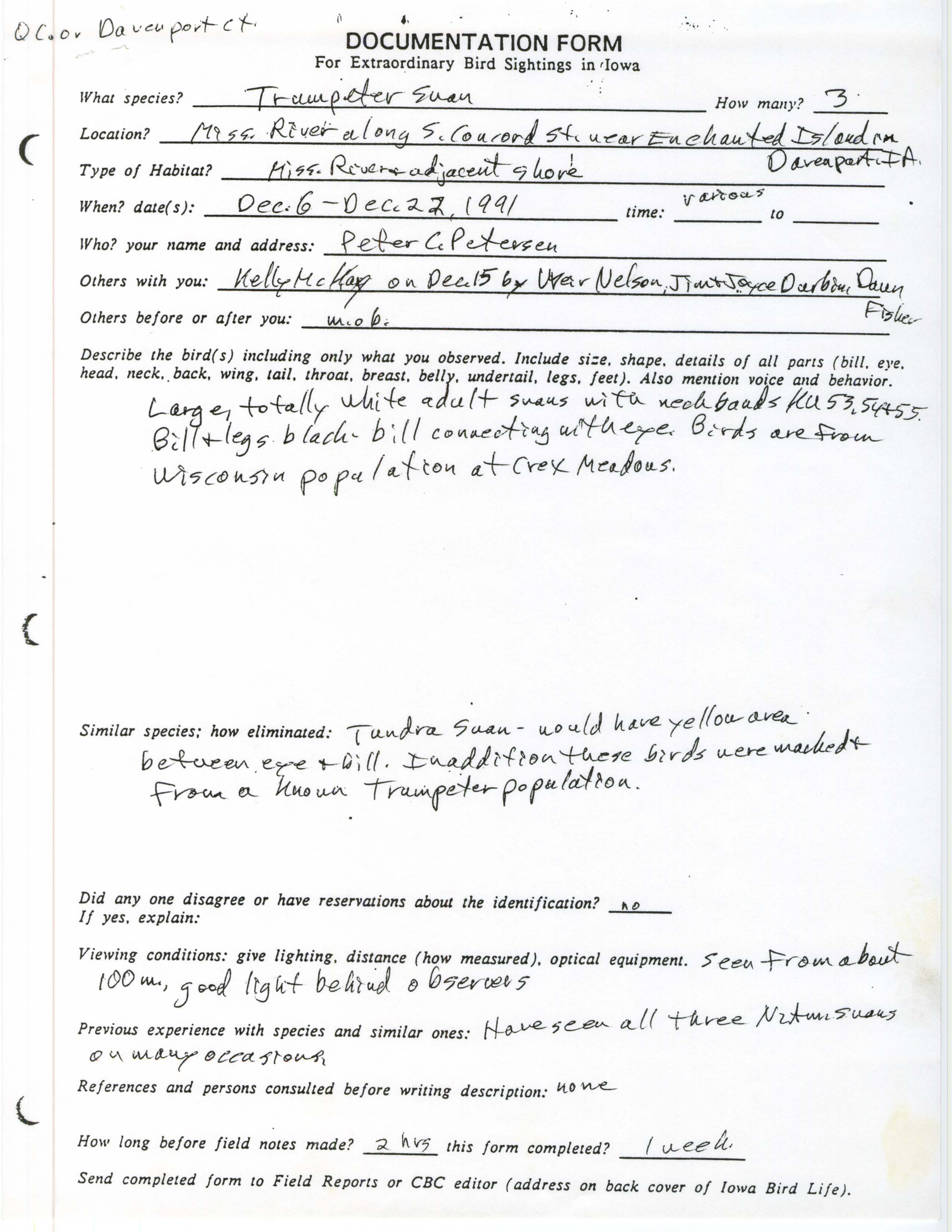 Rare bird documentation form for Trumpeter Swan at Mississippi River in Davenport, 1991