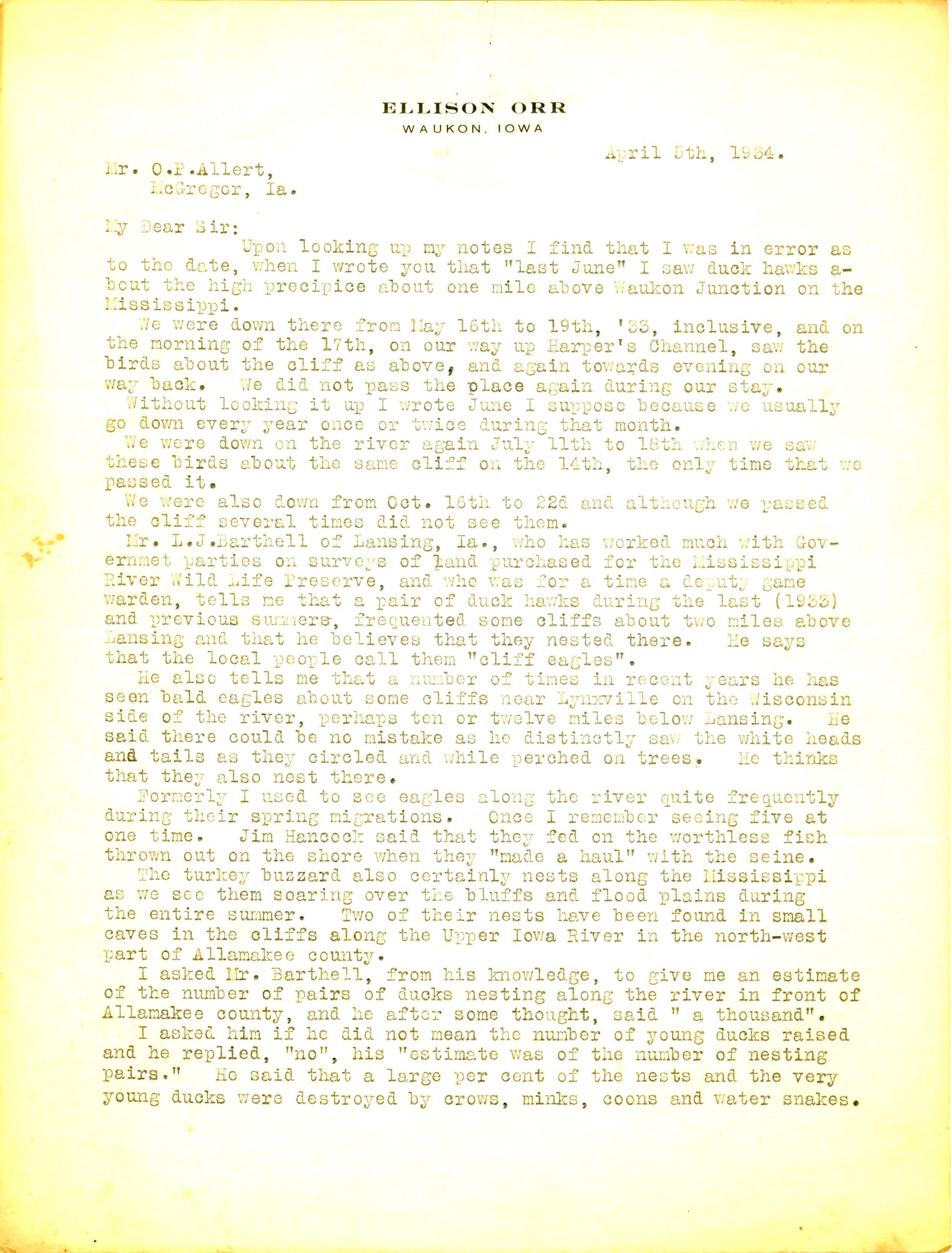 Ellison Orr letter to Oscar Allert regarding Peregrine Falcon sightings, April 5, 1934
