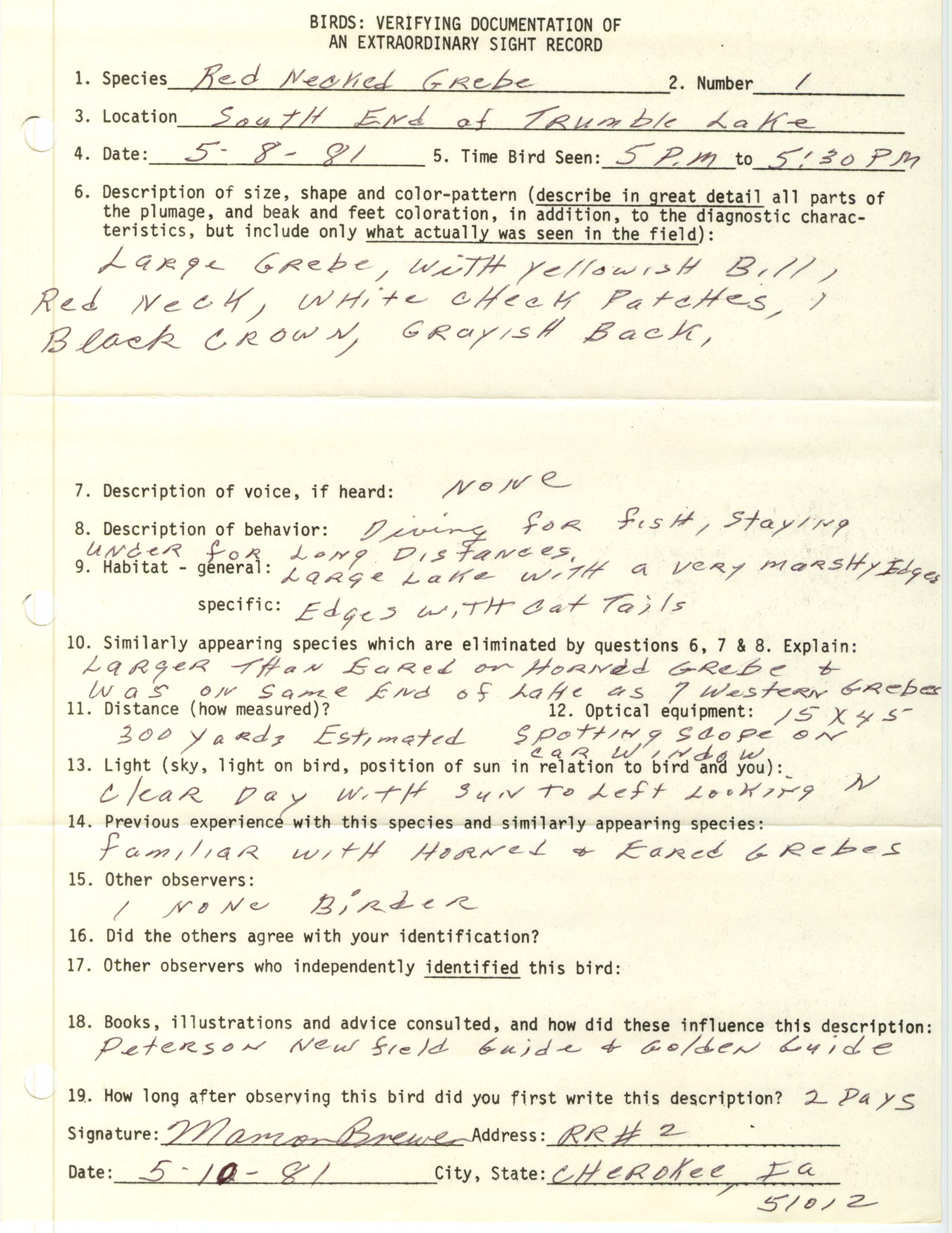 Rare bird documentation form for Red-necked Grebe at Trumbull Lake, 1981