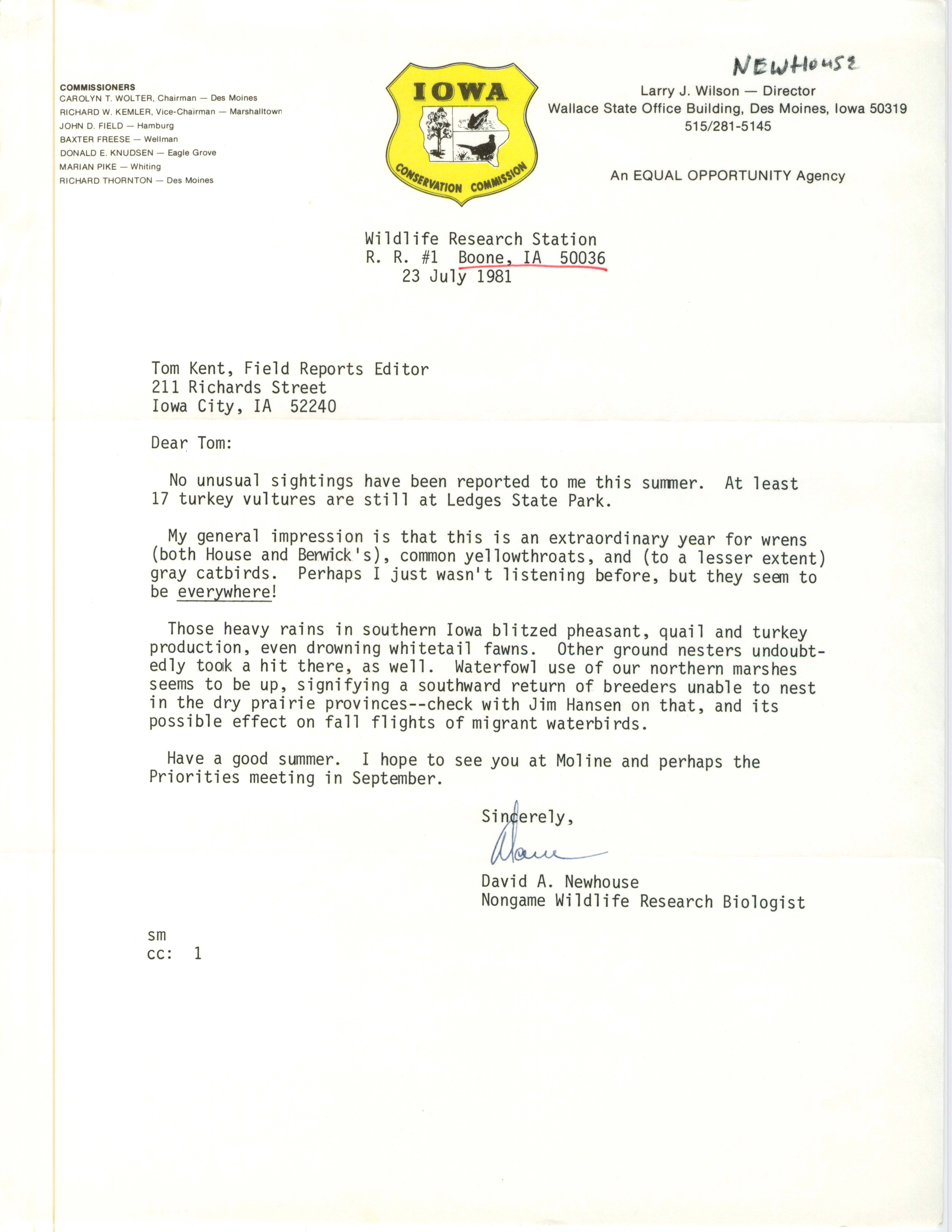 David A. Newhouse letter to Thomas H. Kent regarding summer bird sightings, July 25, 1981