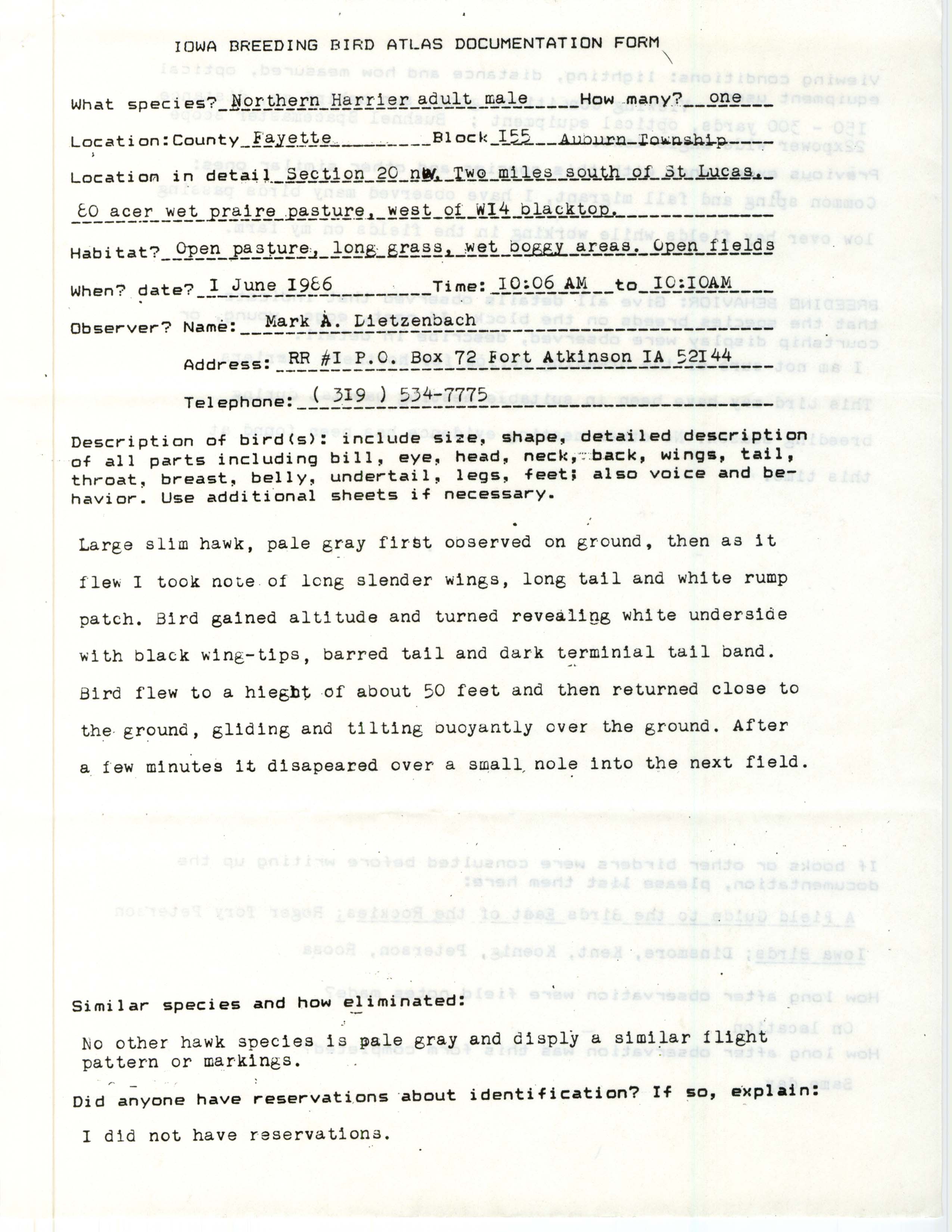 Rare bird documentation form for Northern Harrier at St. Lucas, 1986