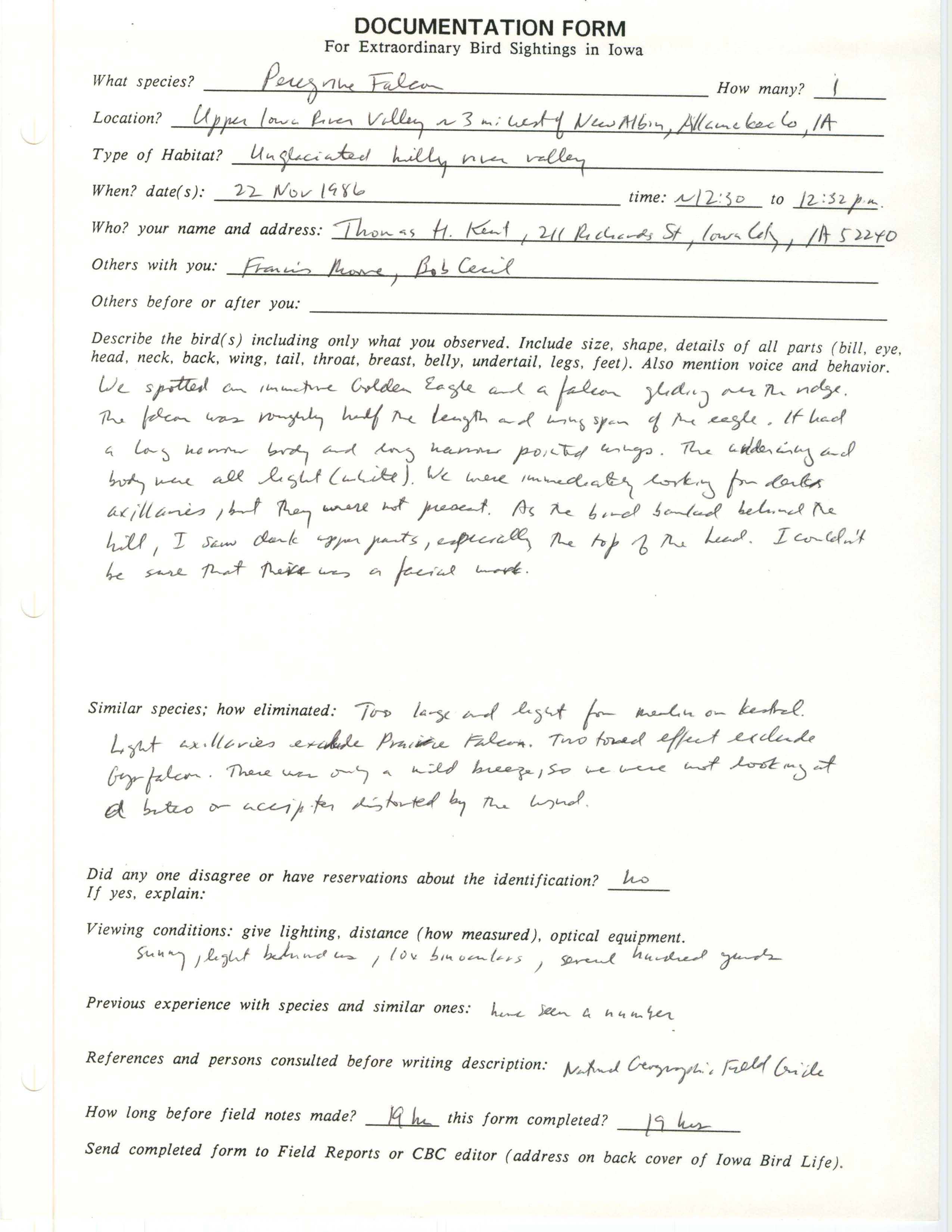 Rare bird documentation form for Peregrine Falcon west of New Albin, 1986