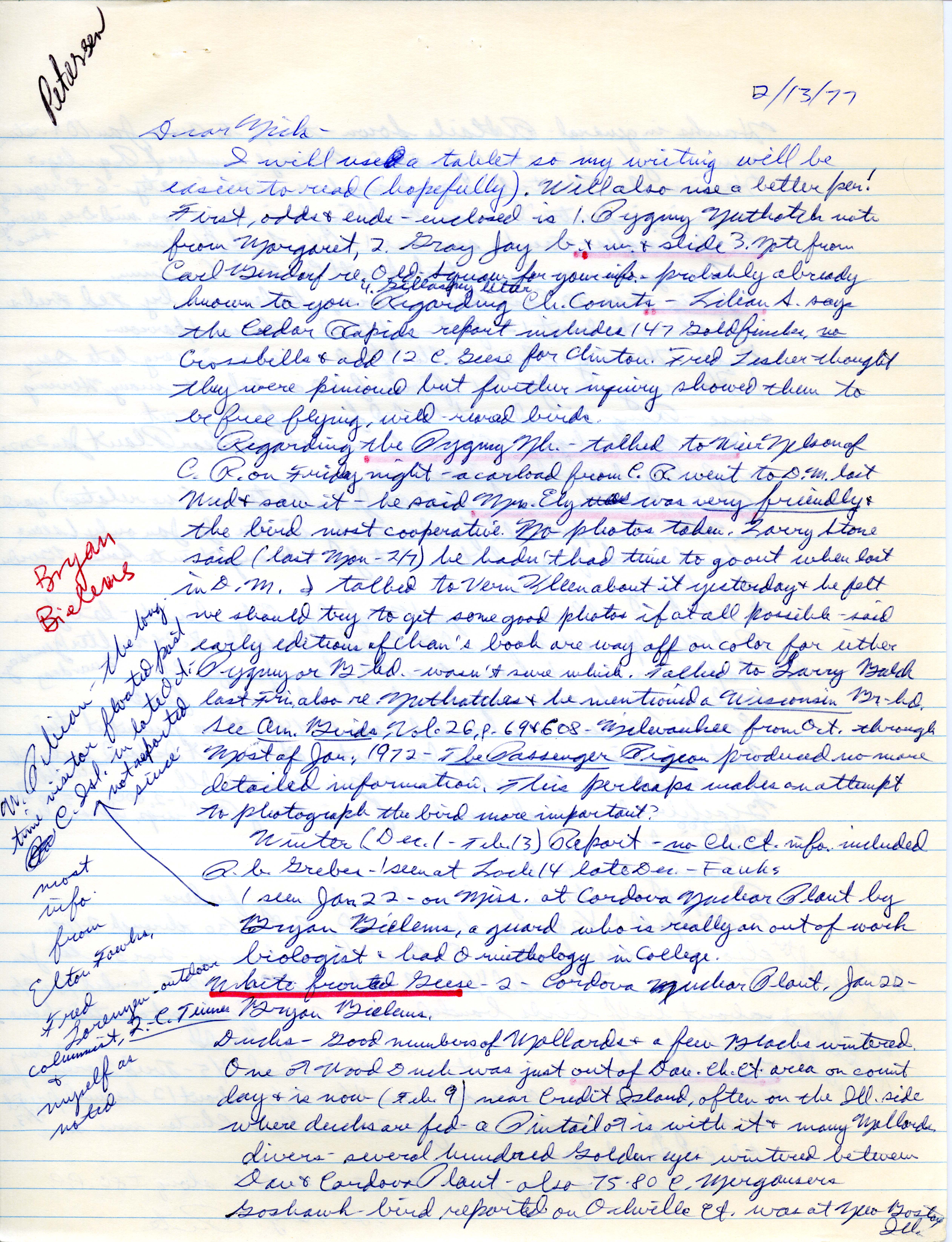 Peter C. Petersen letter to Nicholas S. Halmi regarding bird sightings, February 13, 1977