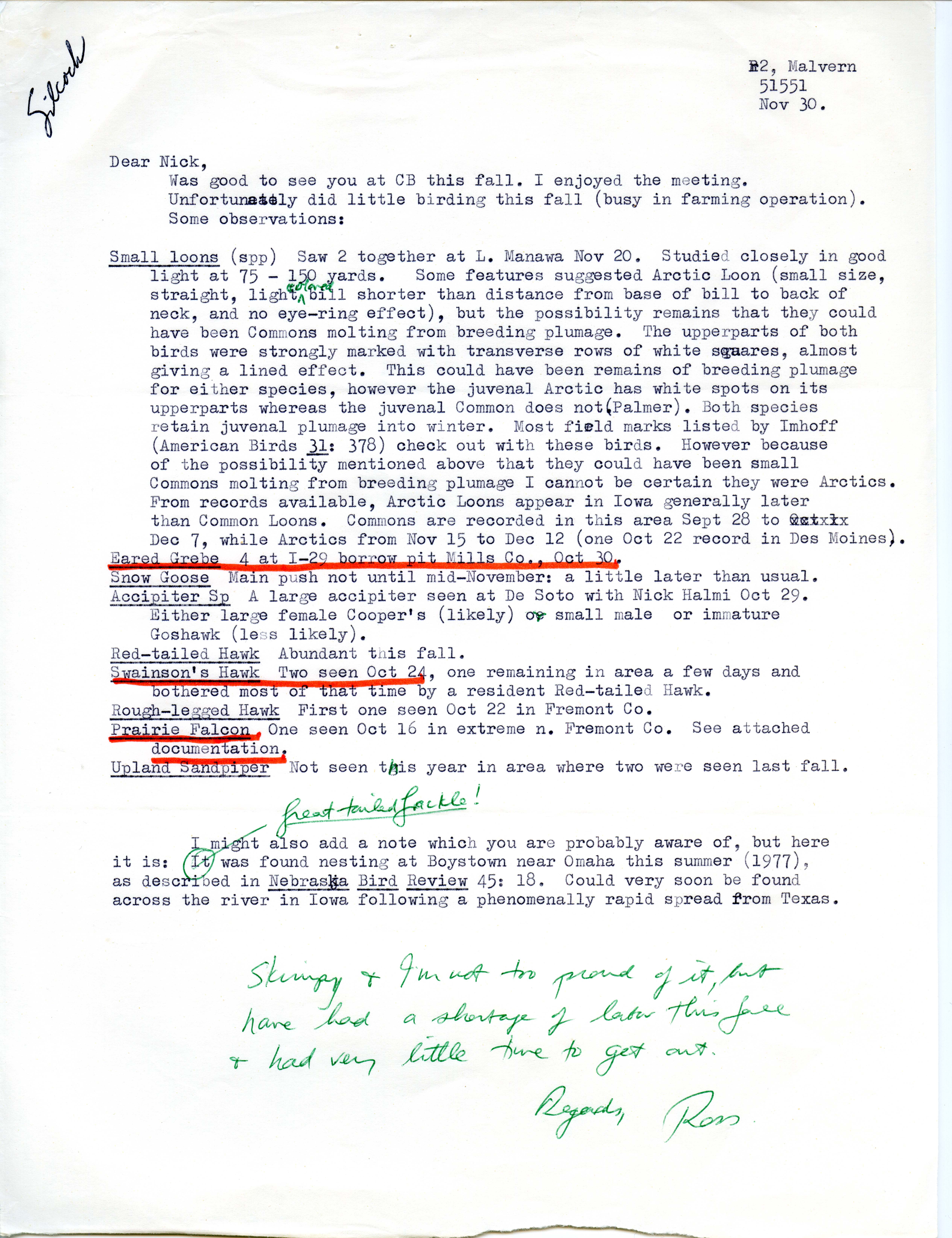W. Ross Silcock letter to Nicholas S. Halmi regarding bird sightings, November 30, 1977