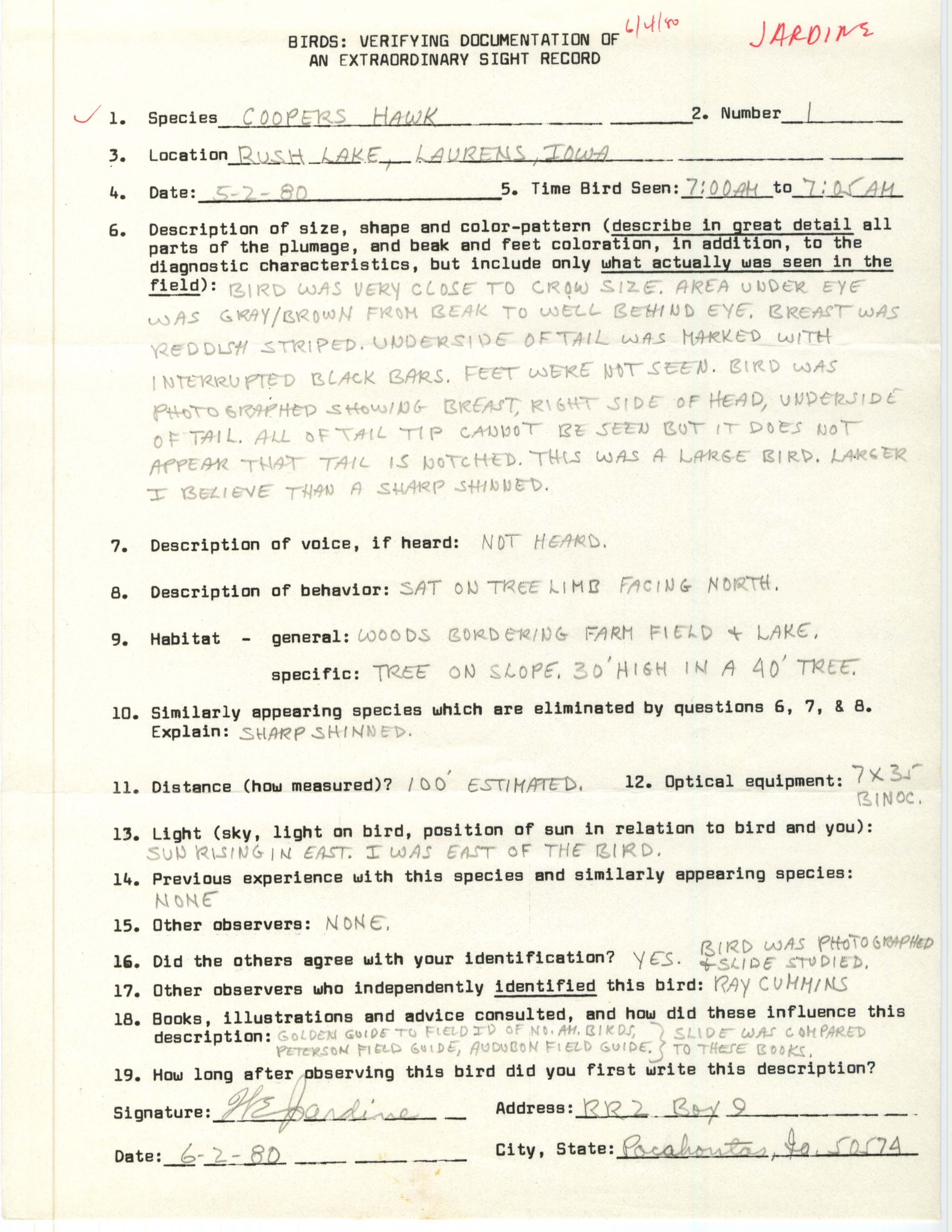 Rare bird documentation form for Cooper's Hawk at Rush Lake, 1980