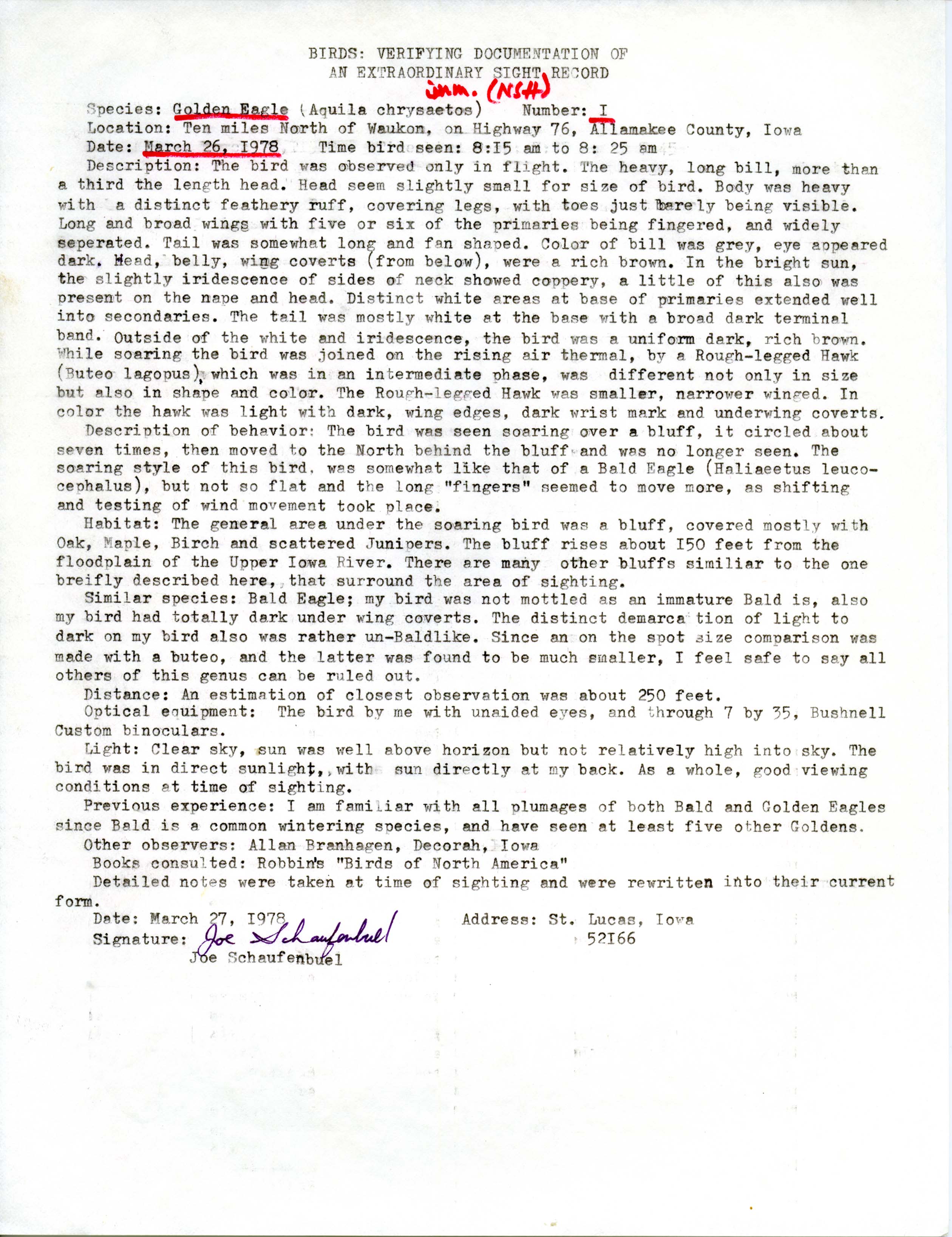 Rare bird documentation form for Golden Eagle near Waukon, 1978