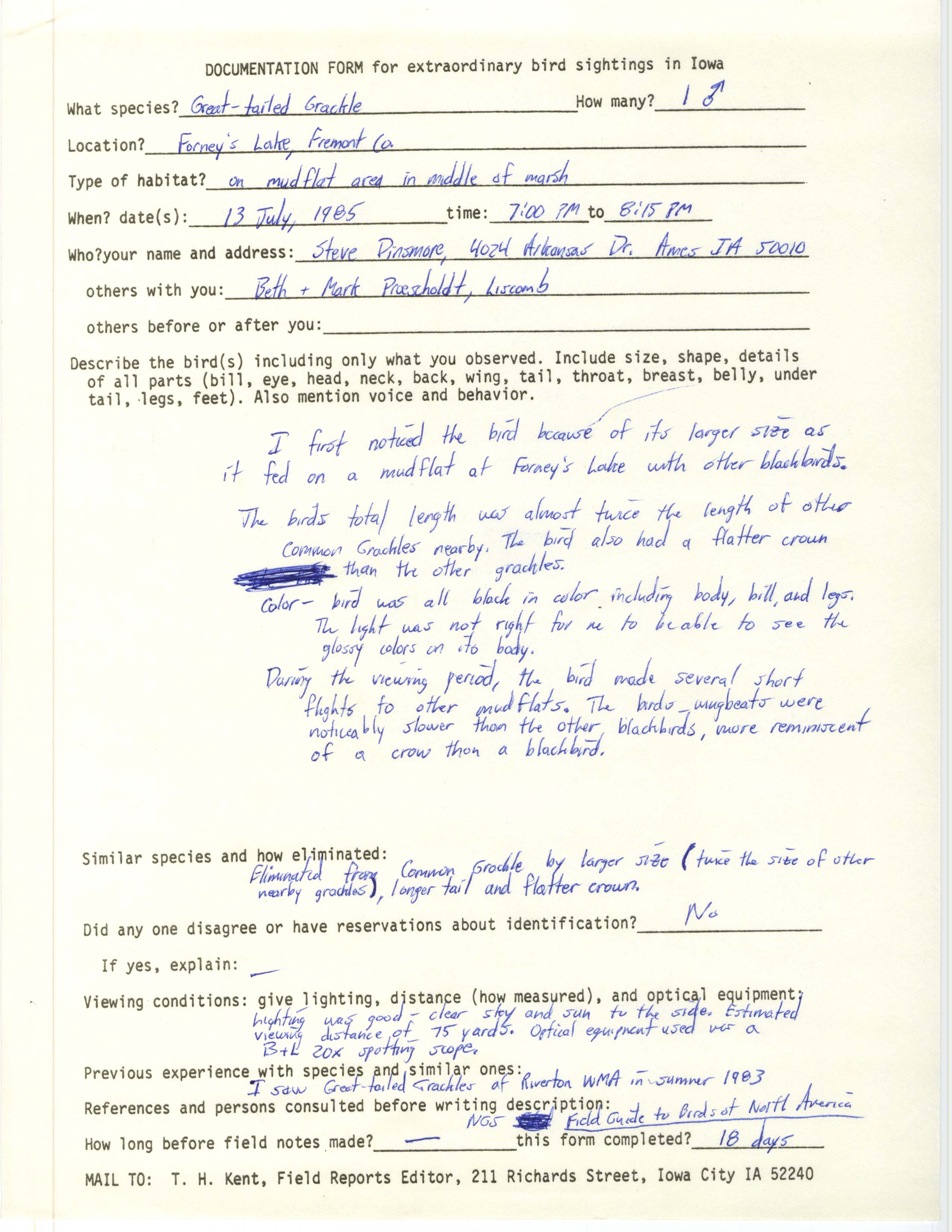 Rare bird documentation form for Great-tailed Grackle at Forney's Lake, 1985