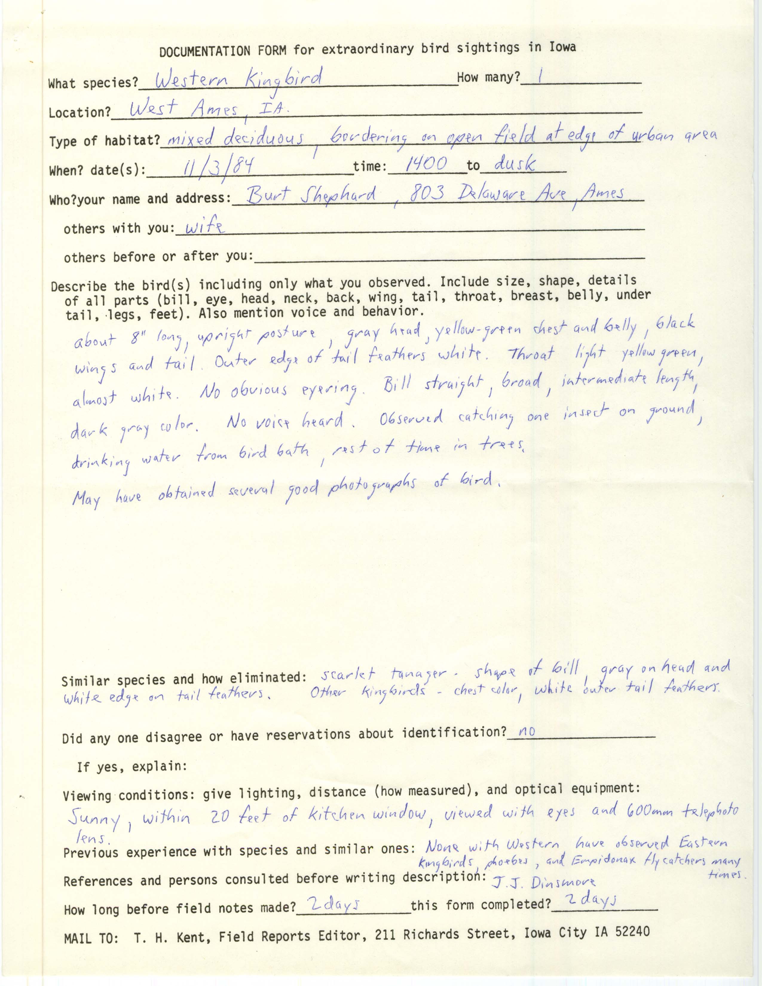 Rare bird documentation form for Western Kingbird at West Ames, 1984