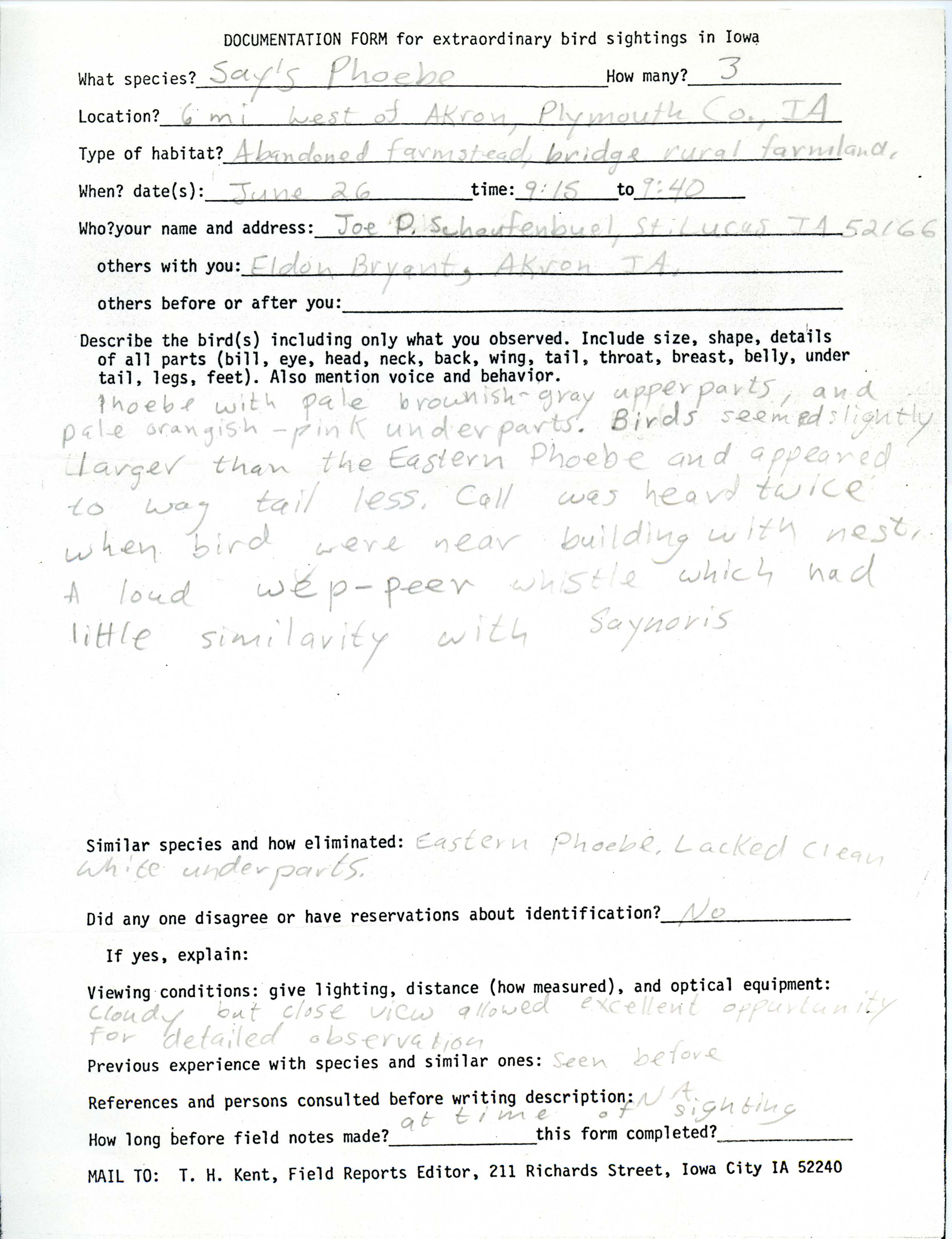 Rare bird documentation form for Say's Phoebe west of Akron in 1982