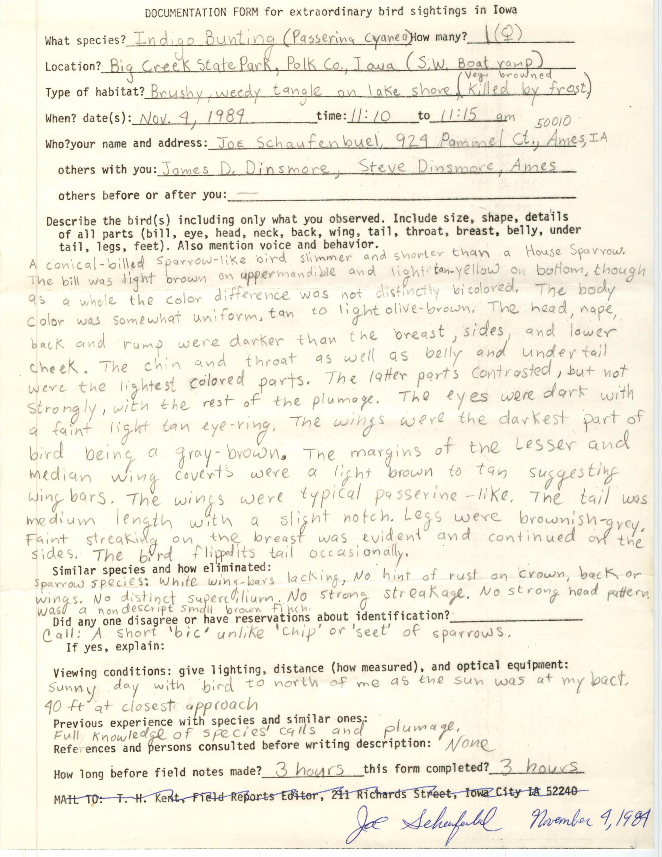 Rare bird documentation form for Indigo Bunting at Big Creek State Park, 1984