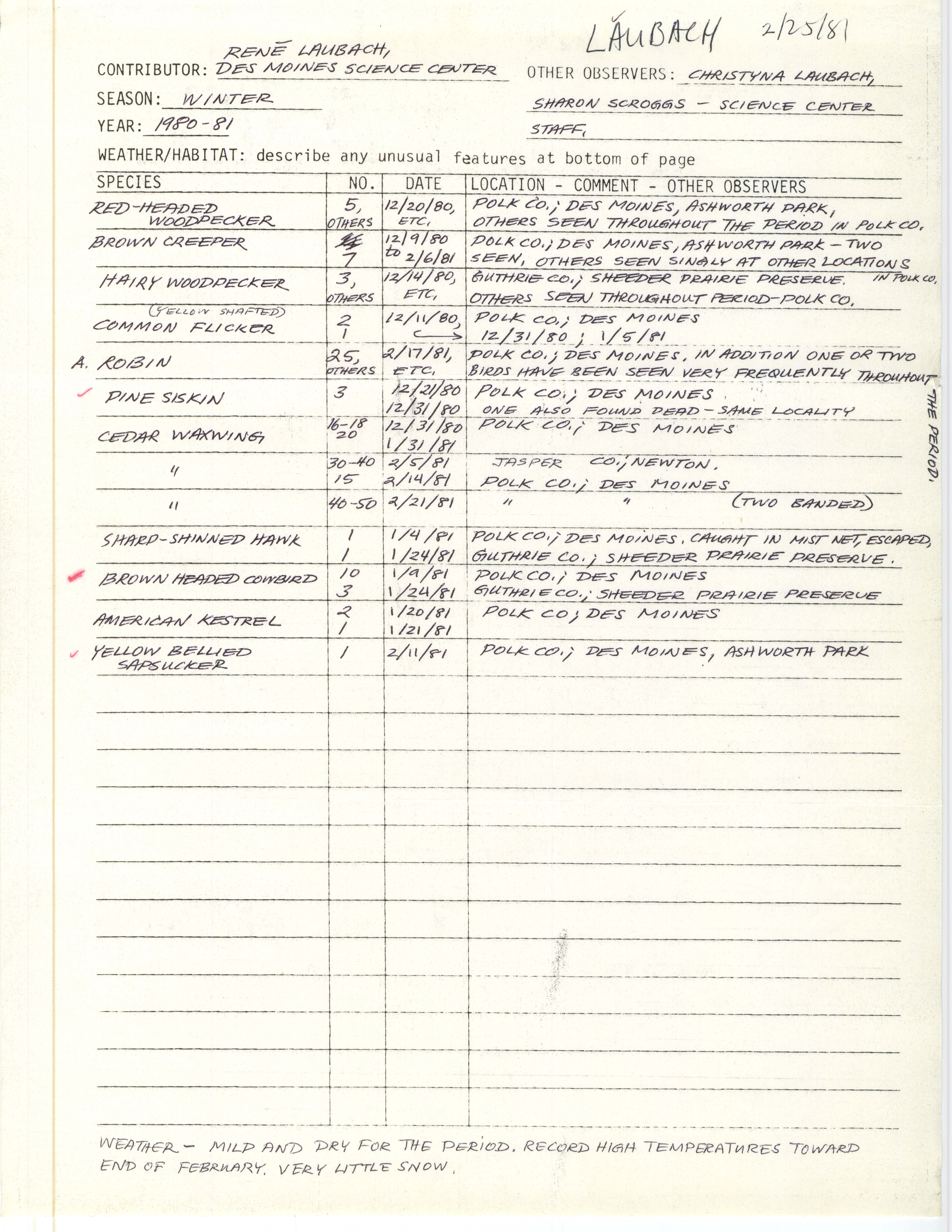 Annotated bird sighting list for winter 1980 and 1981 compiled by Rene Laubach