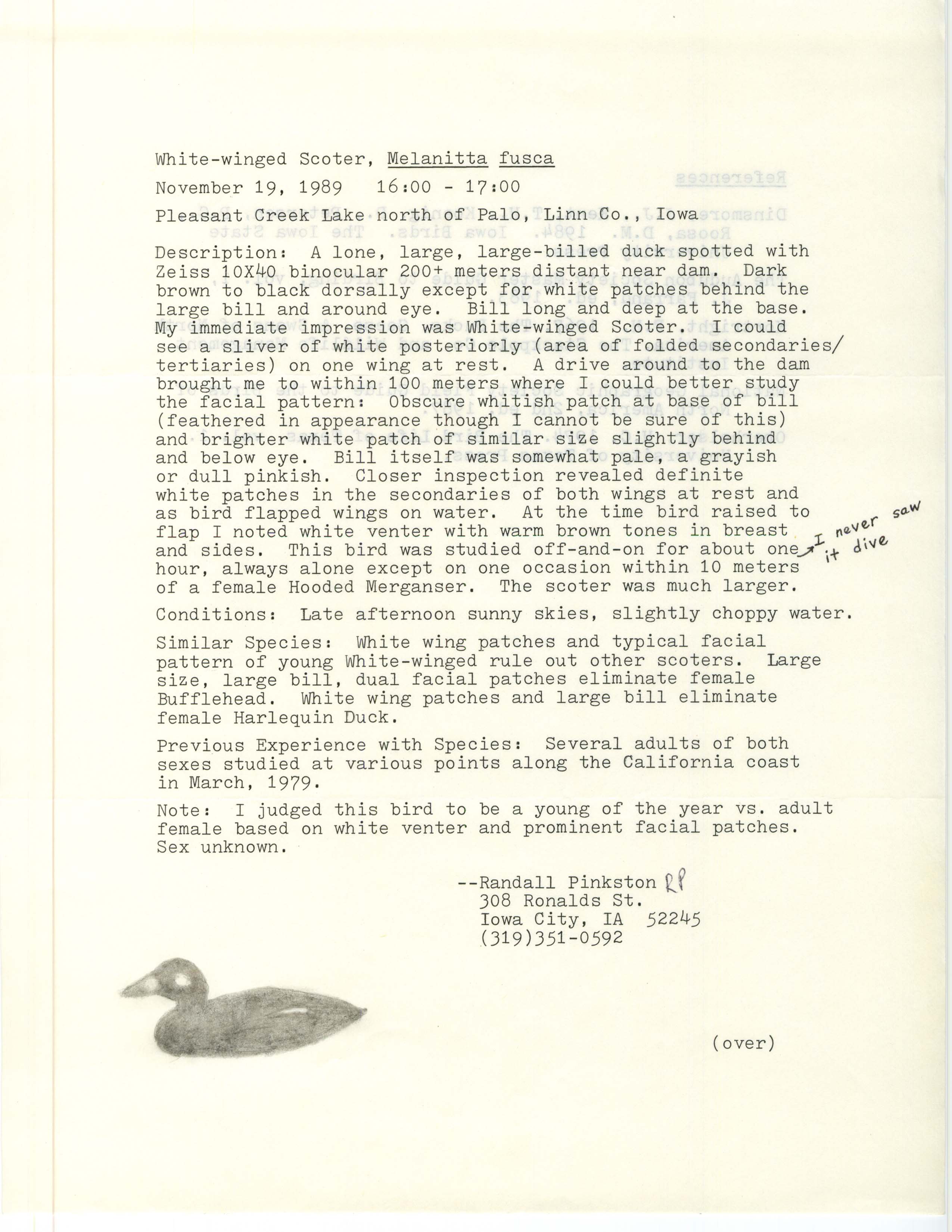 Rare bird documentation form for White-winged Scoter at Pleasant Creek Lake, 1989