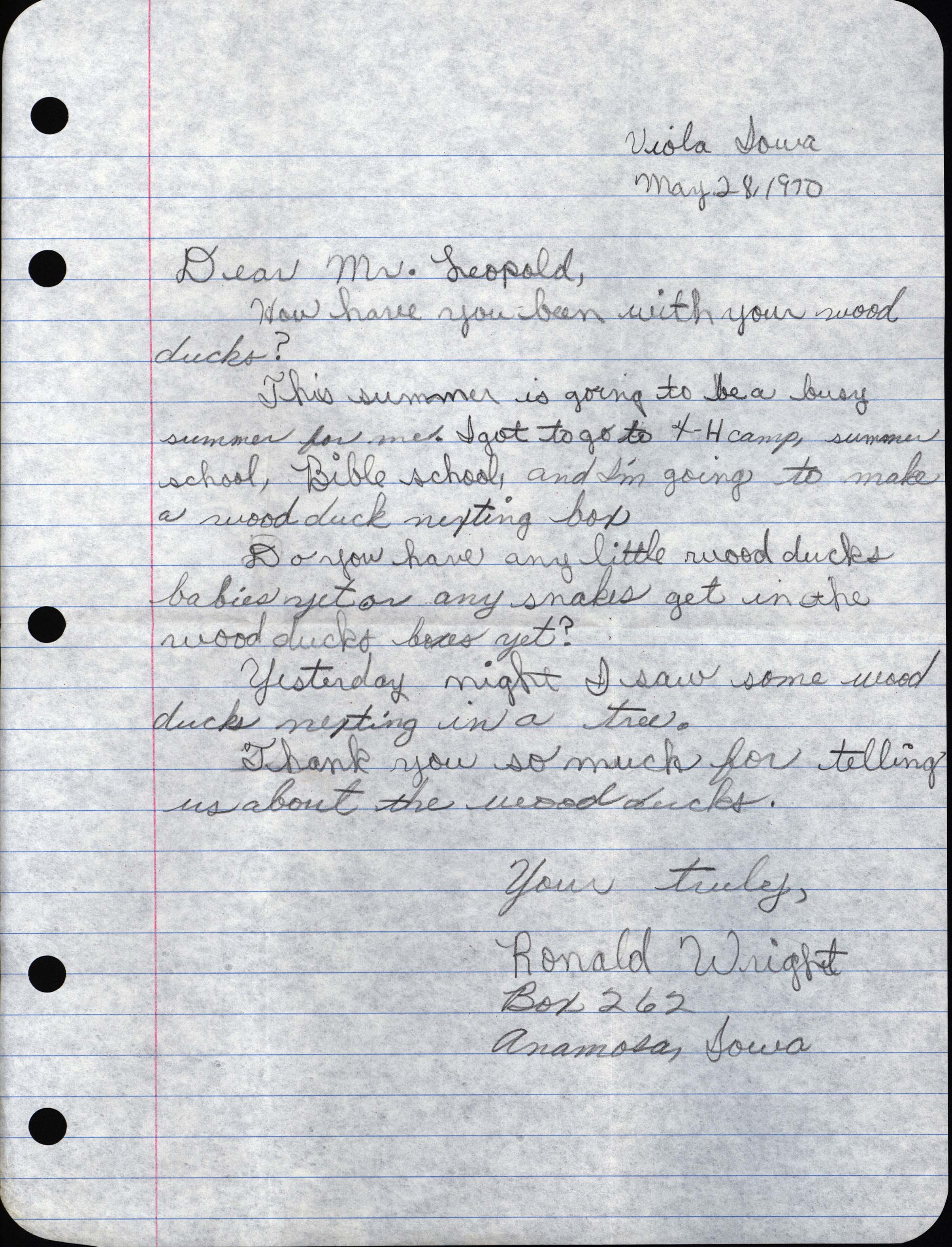 Letter from Wilma Walton with an enclosed letter from Ronald Wright to Frederic Leopold regarding Wood Ducks, May 28, 1970